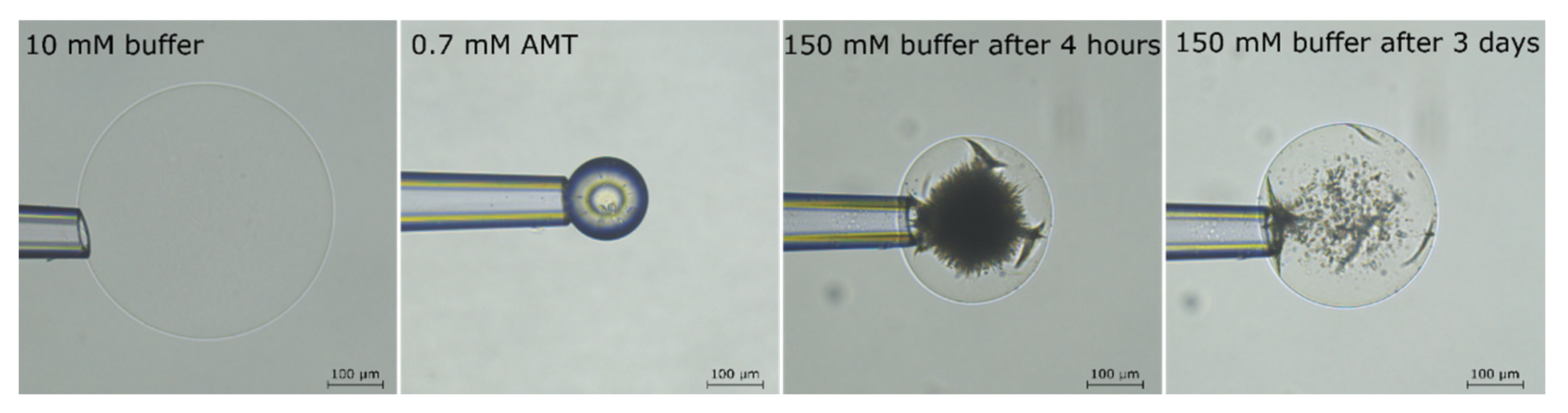 Gels 08 00004 g008