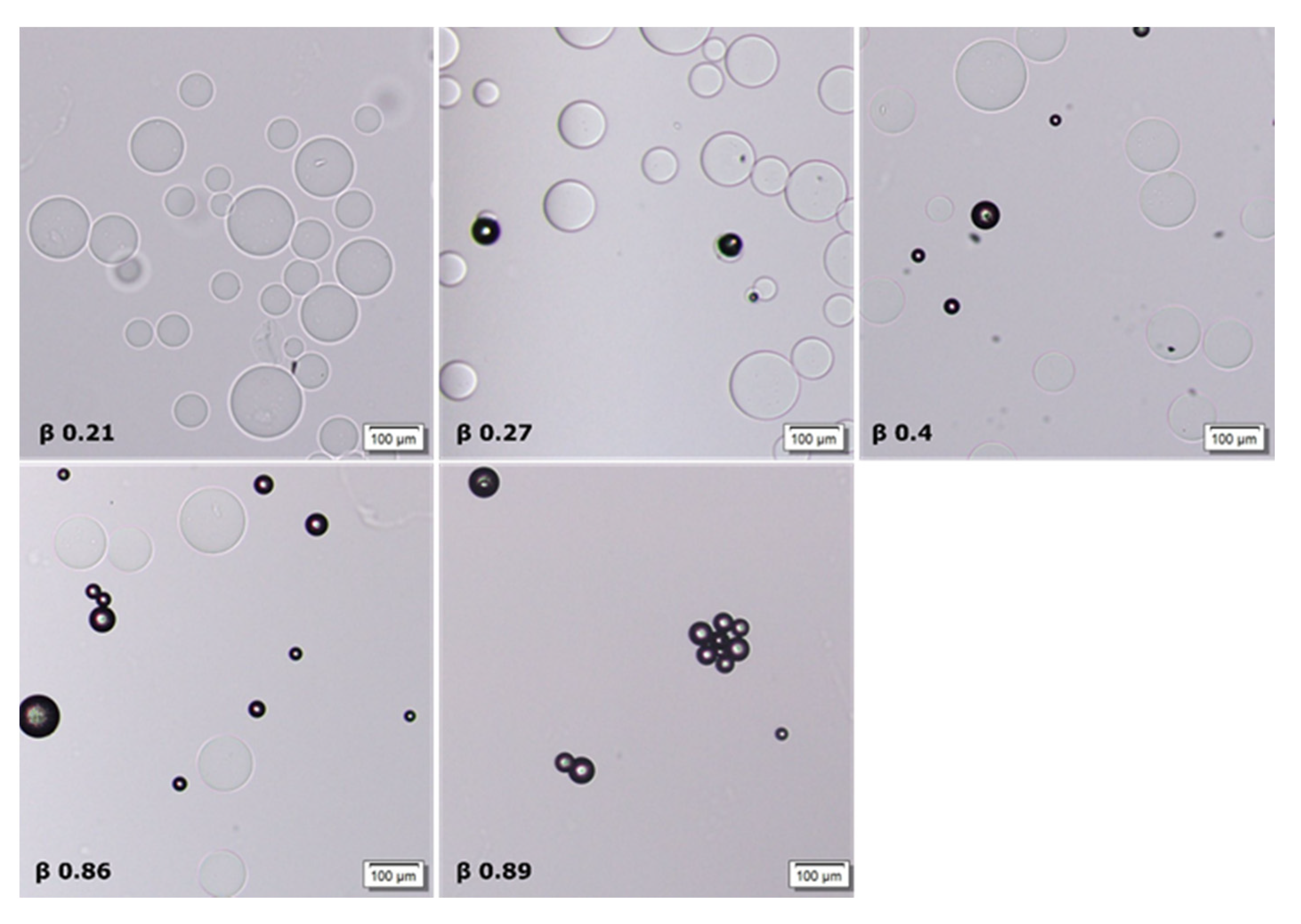 Gels 08 00004 g010