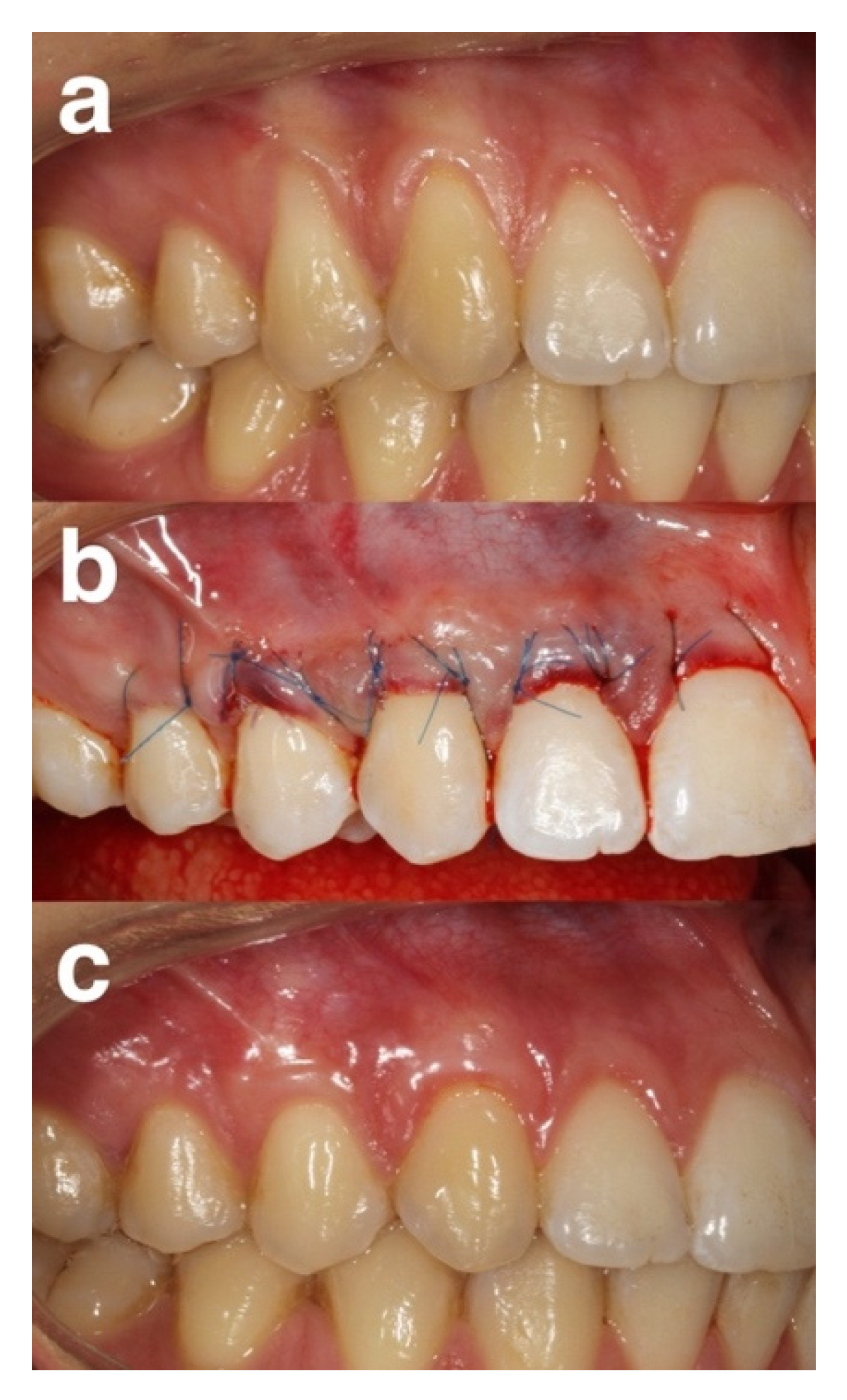 Gels 08 00031 g001 550