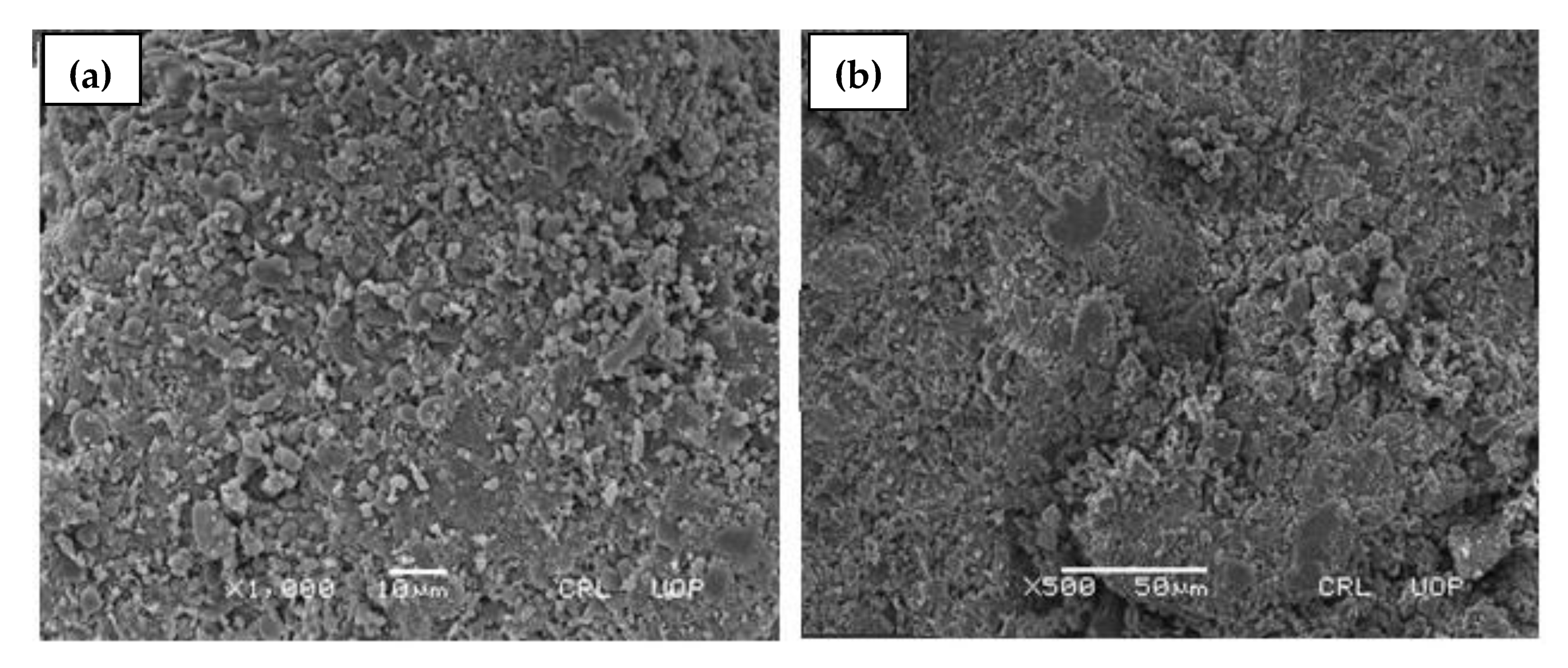 Gels 08 00055 g005 Gels 08 00055 g005
