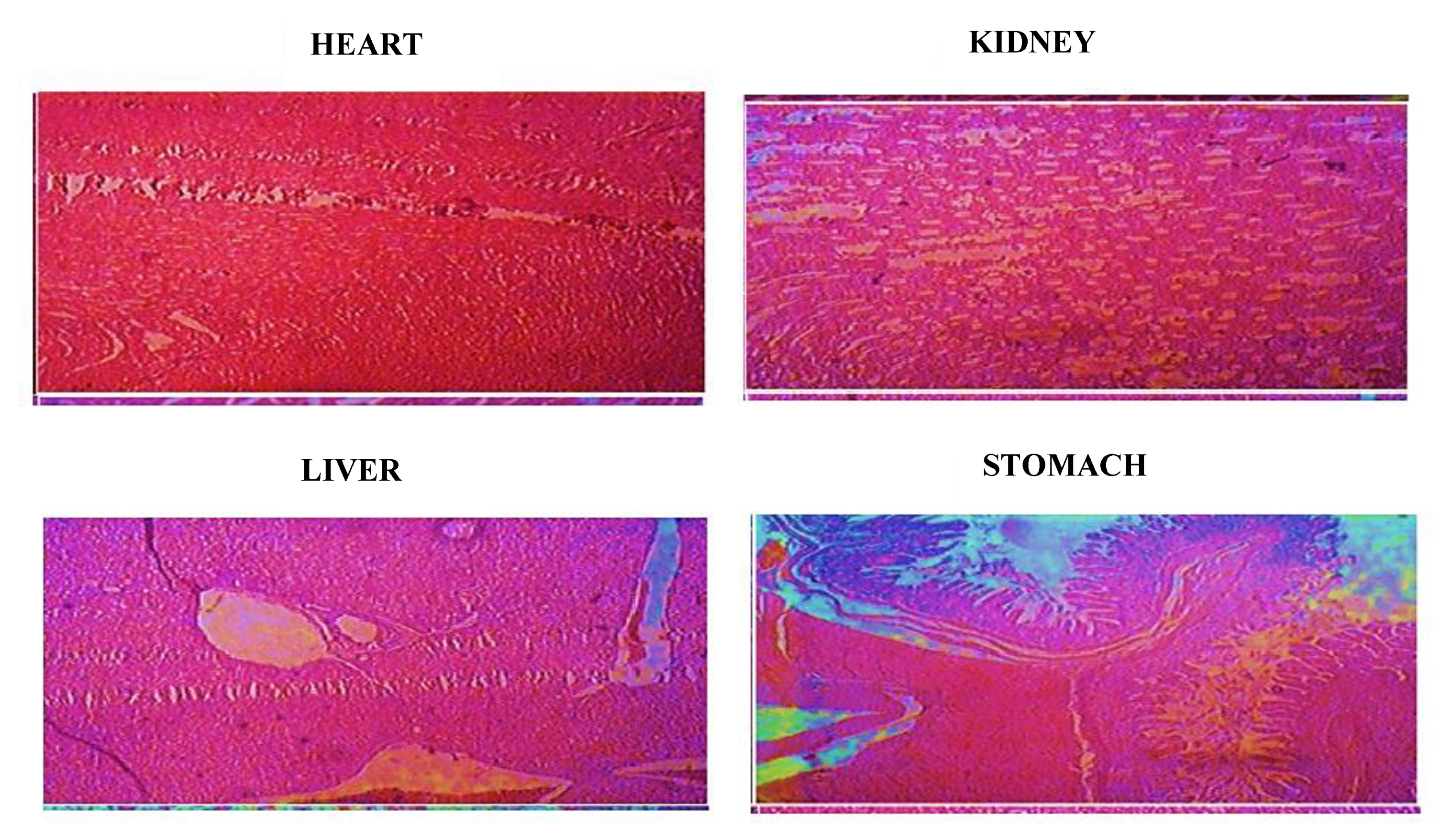 Gels 08 00055 g010 Gels 08 00055 g010
