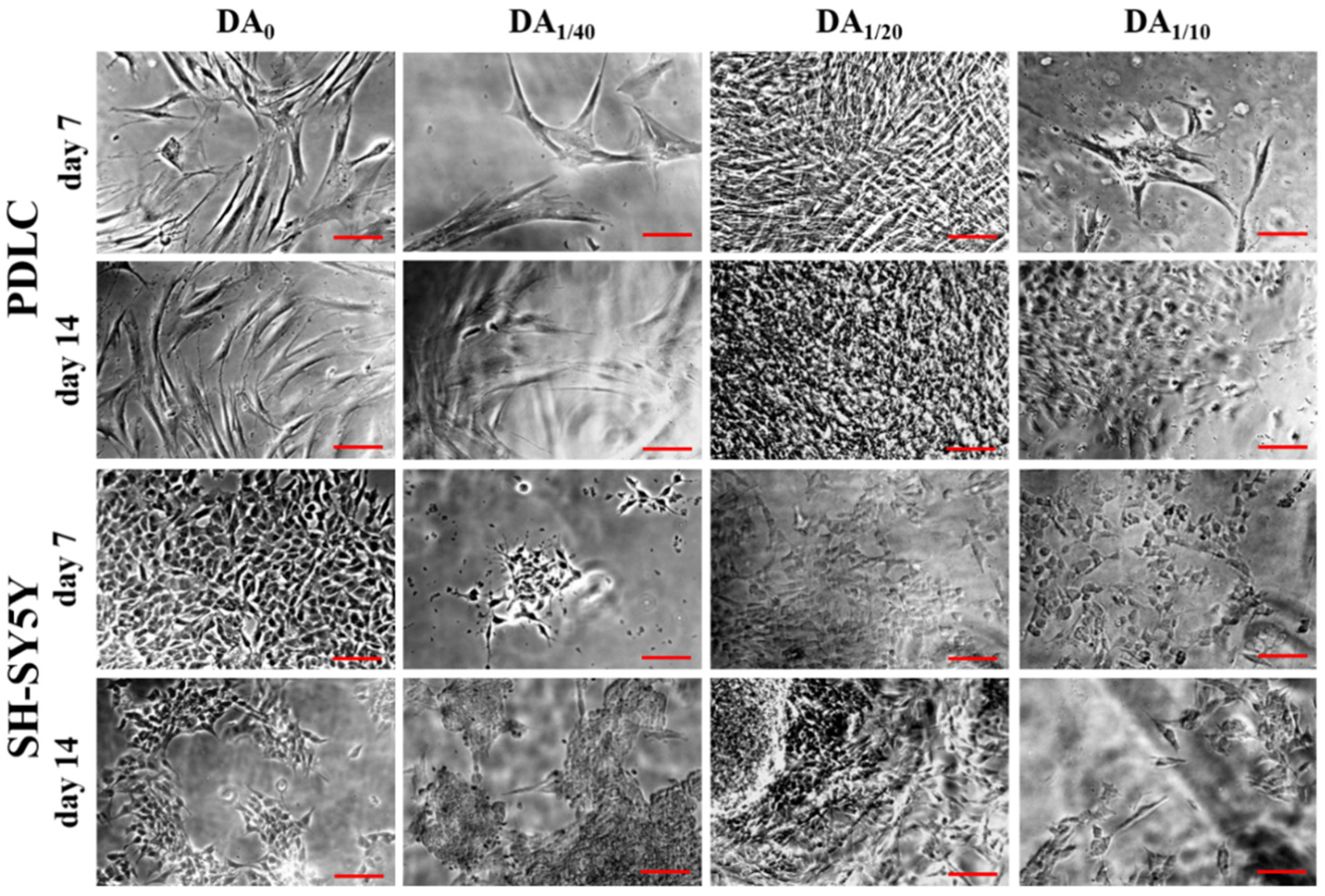 Gels 08 00065 g003 550