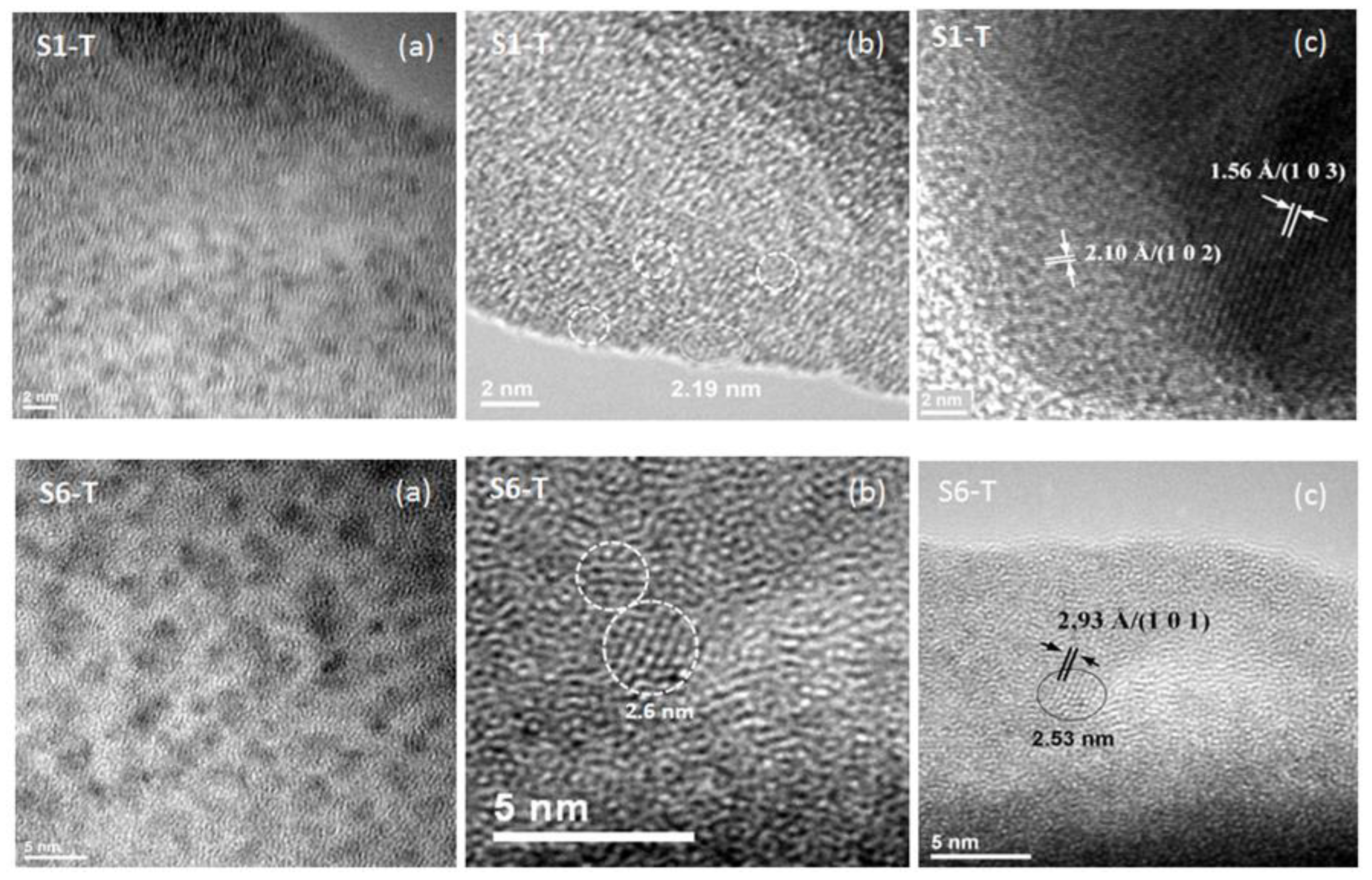 Gels 08 00068 g007 550