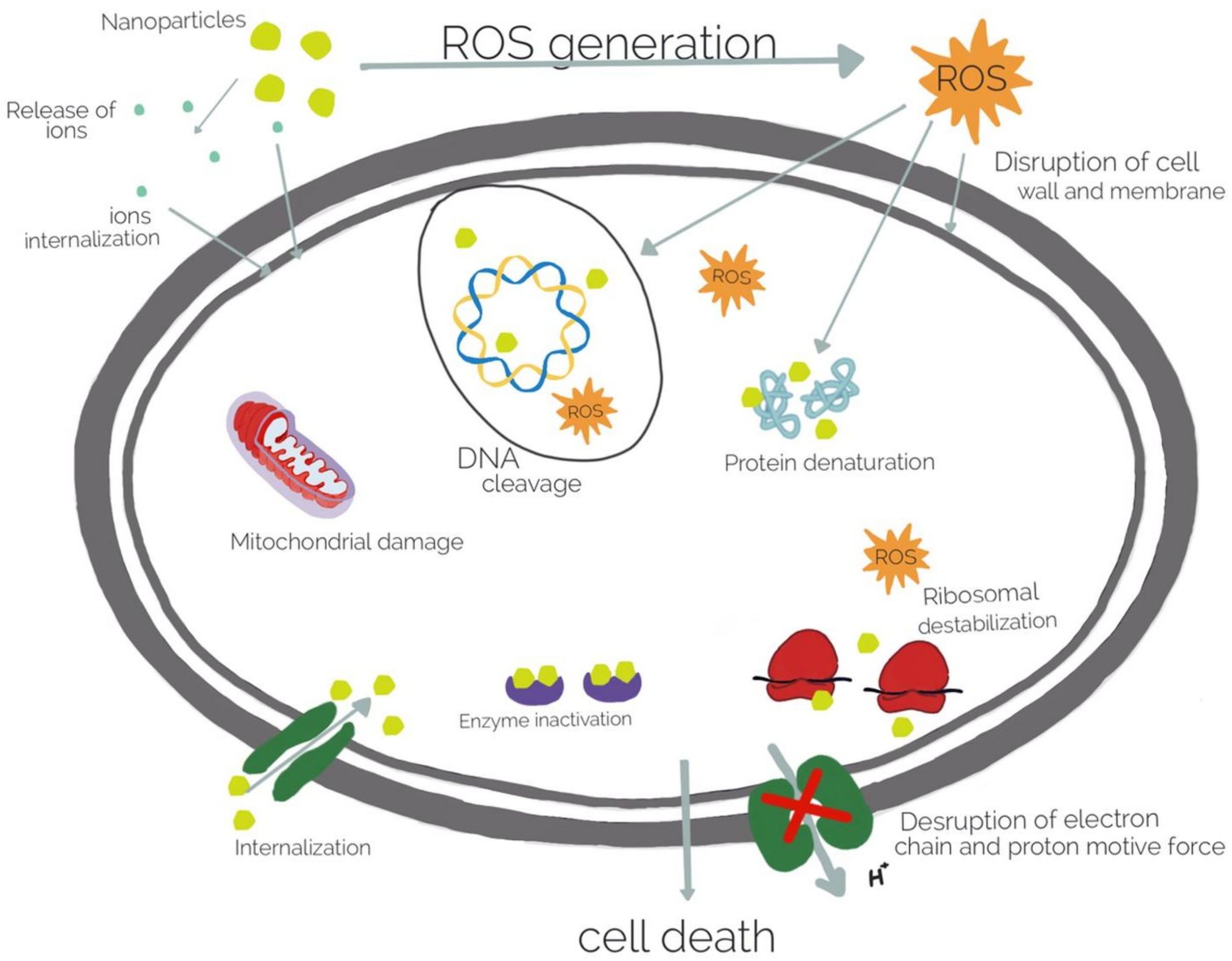 Gels 08 00070 g005 Gels 08 00070 g005