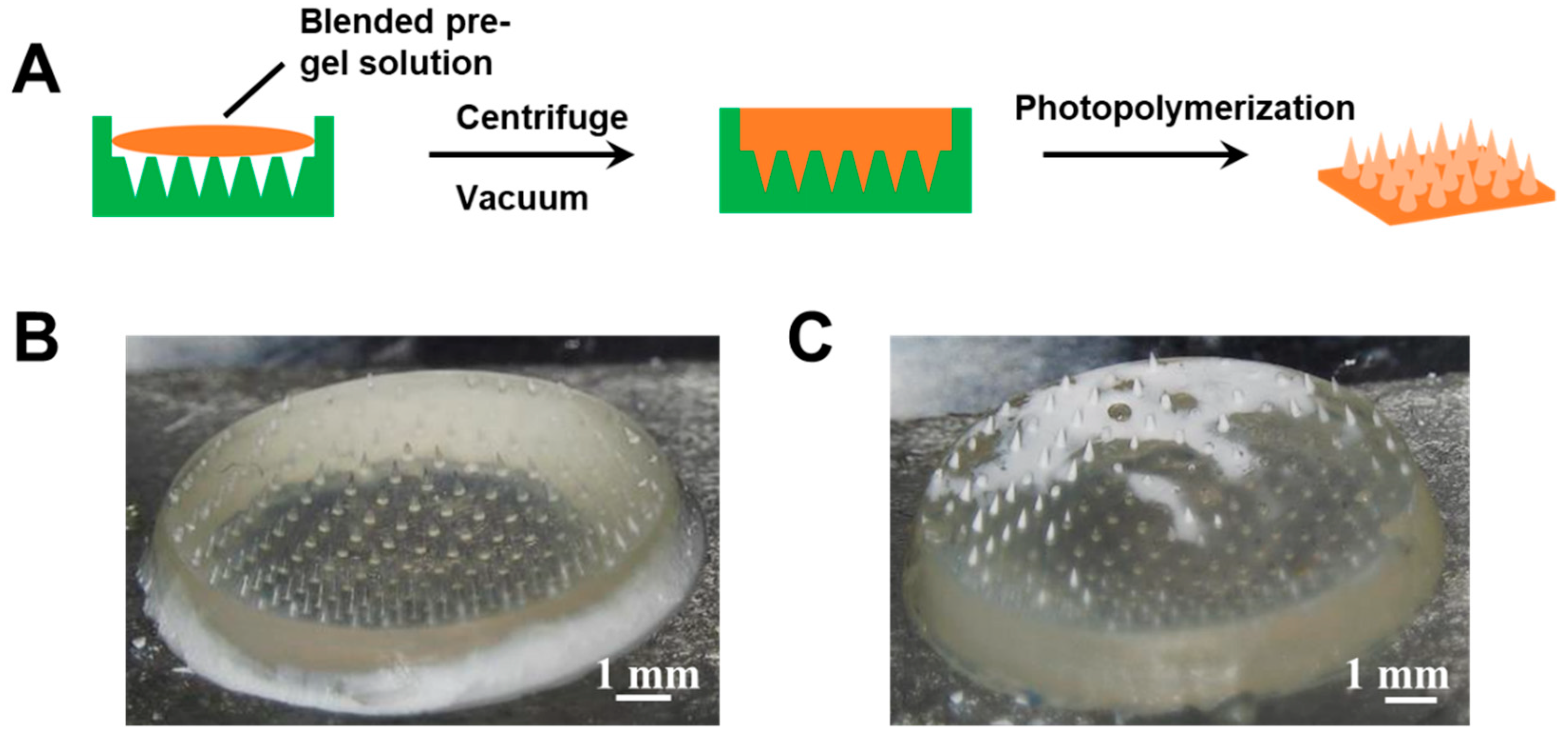 Gels 08 00074 g003 550
