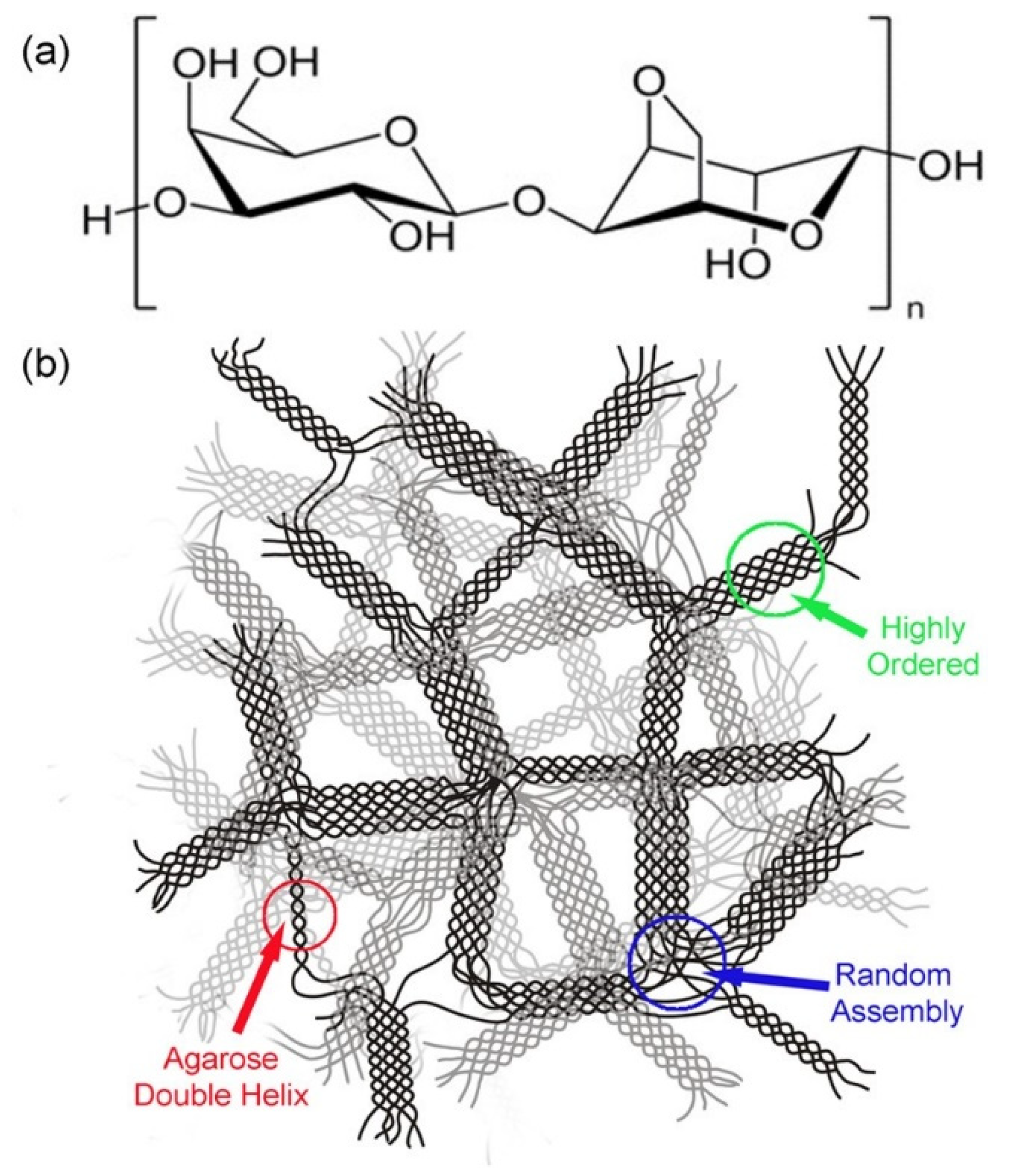 Structure gel 1.16 5