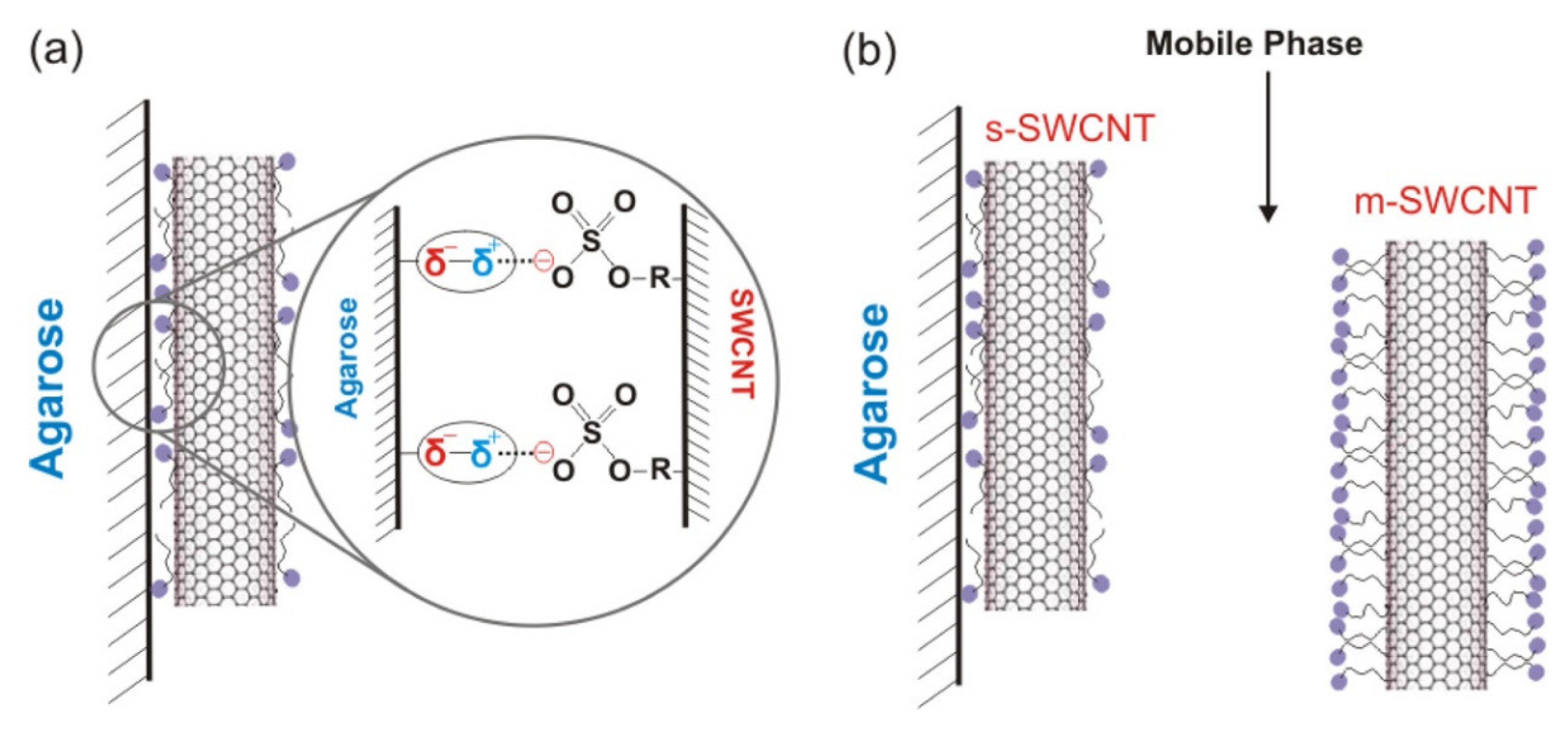 Gels 08 00076 g005 550