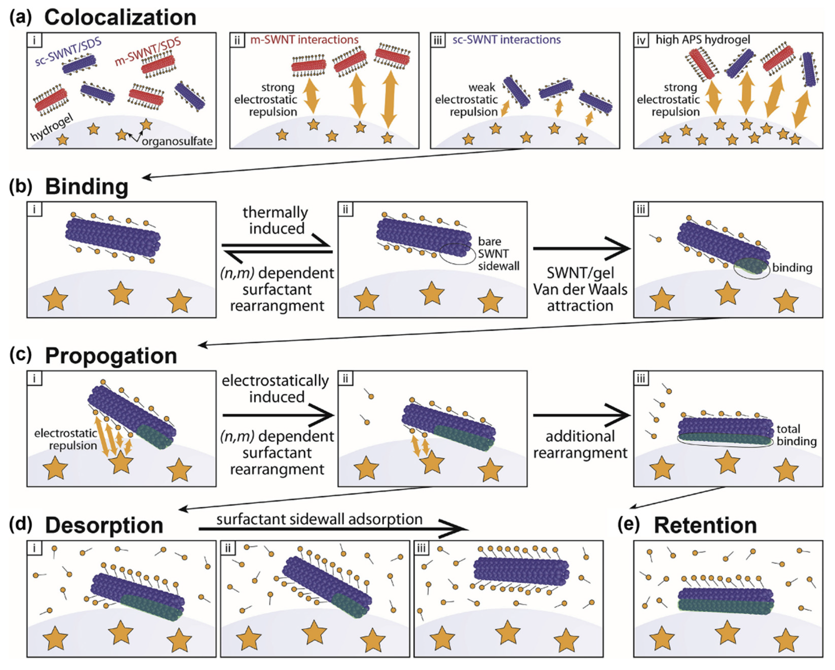Gels 08 00076 g009 550