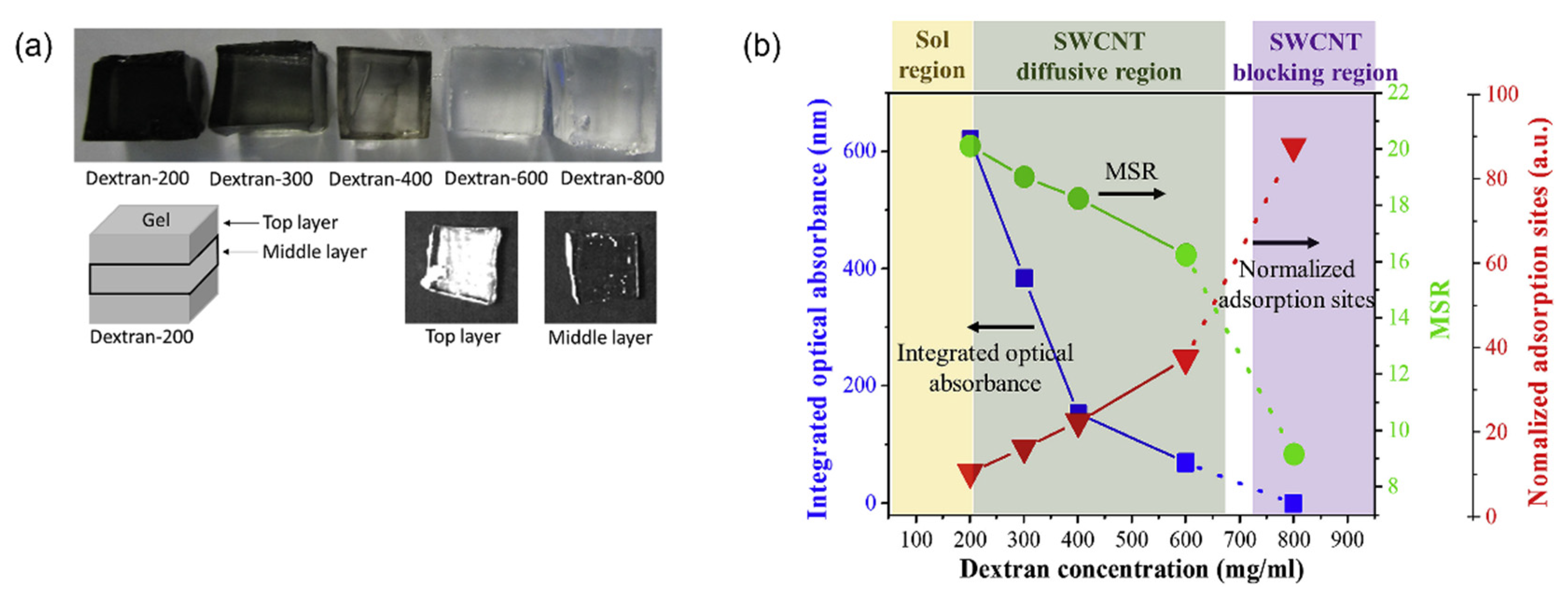 Gels 08 00076 g010 550