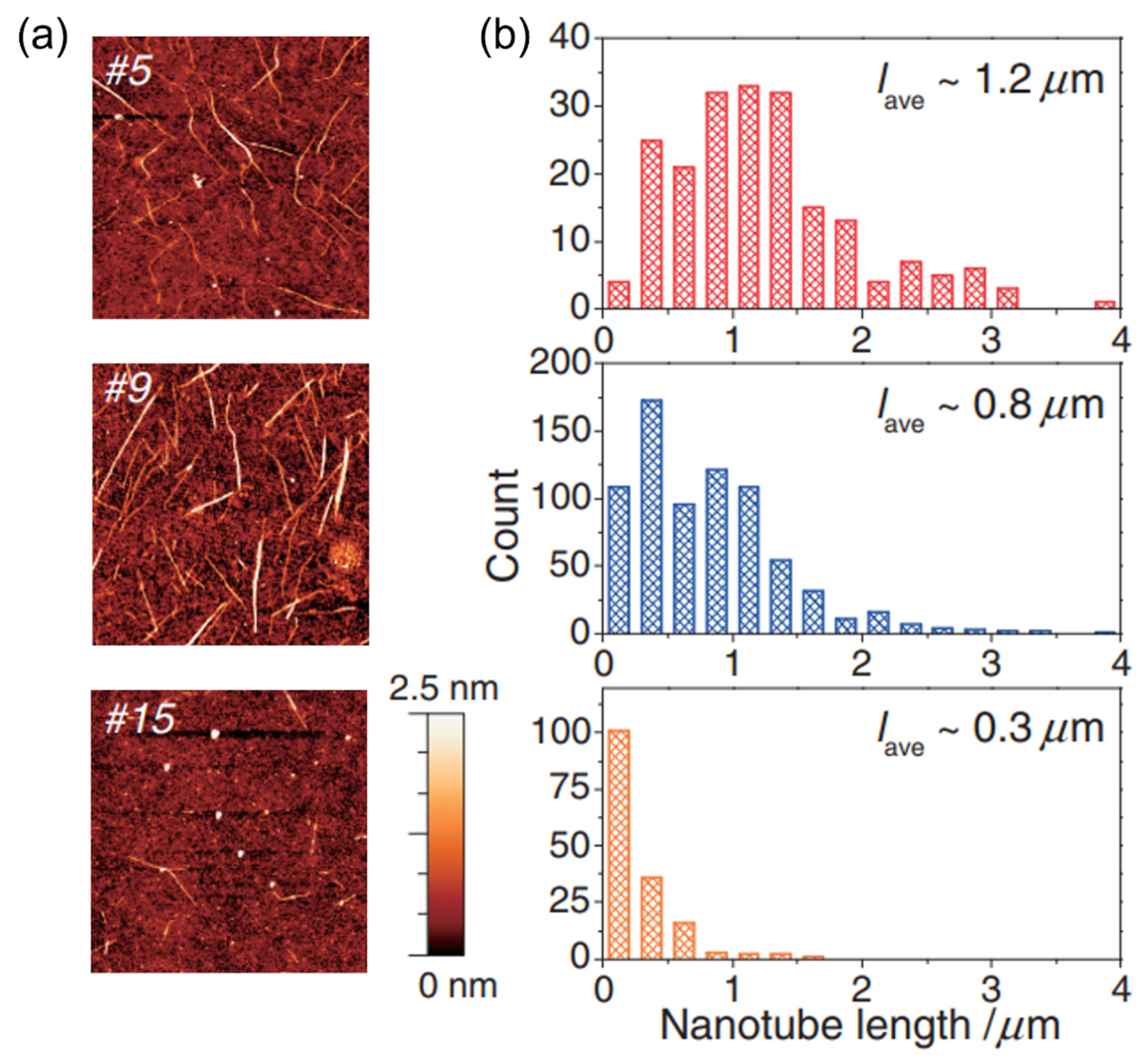 Gels 08 00076 g012 550
