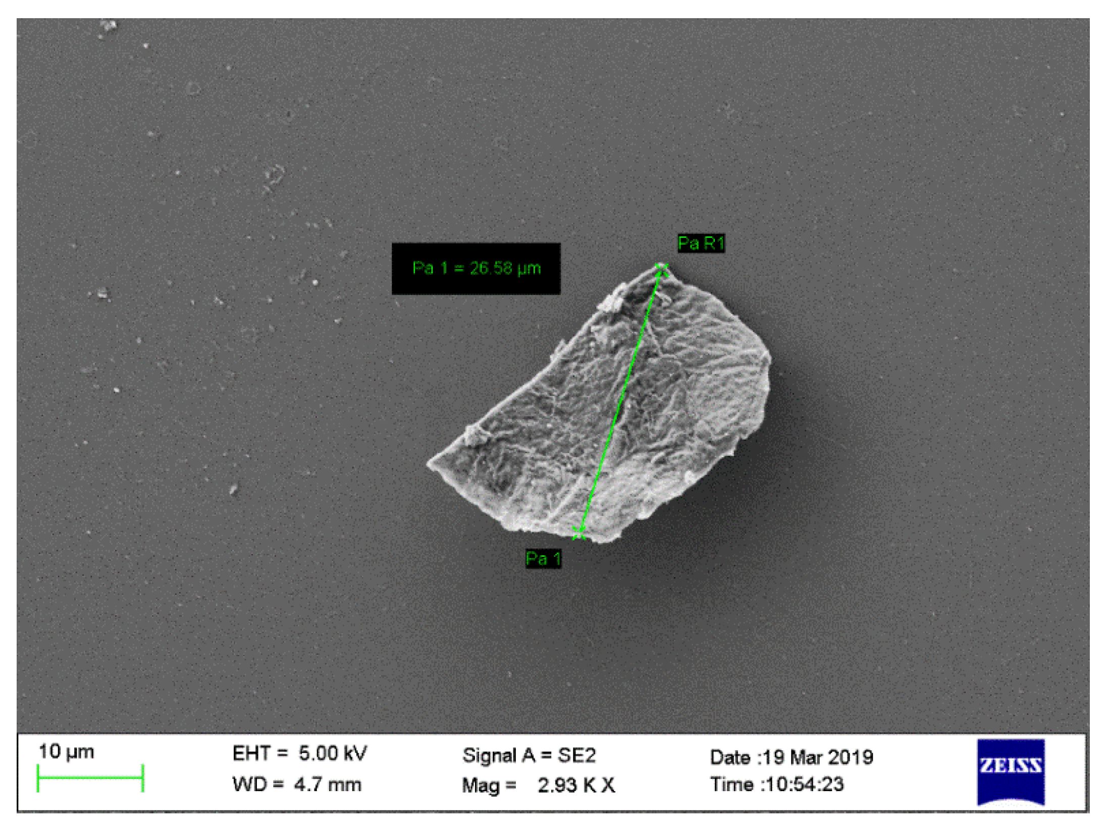 Gels 08 00081 g005 550