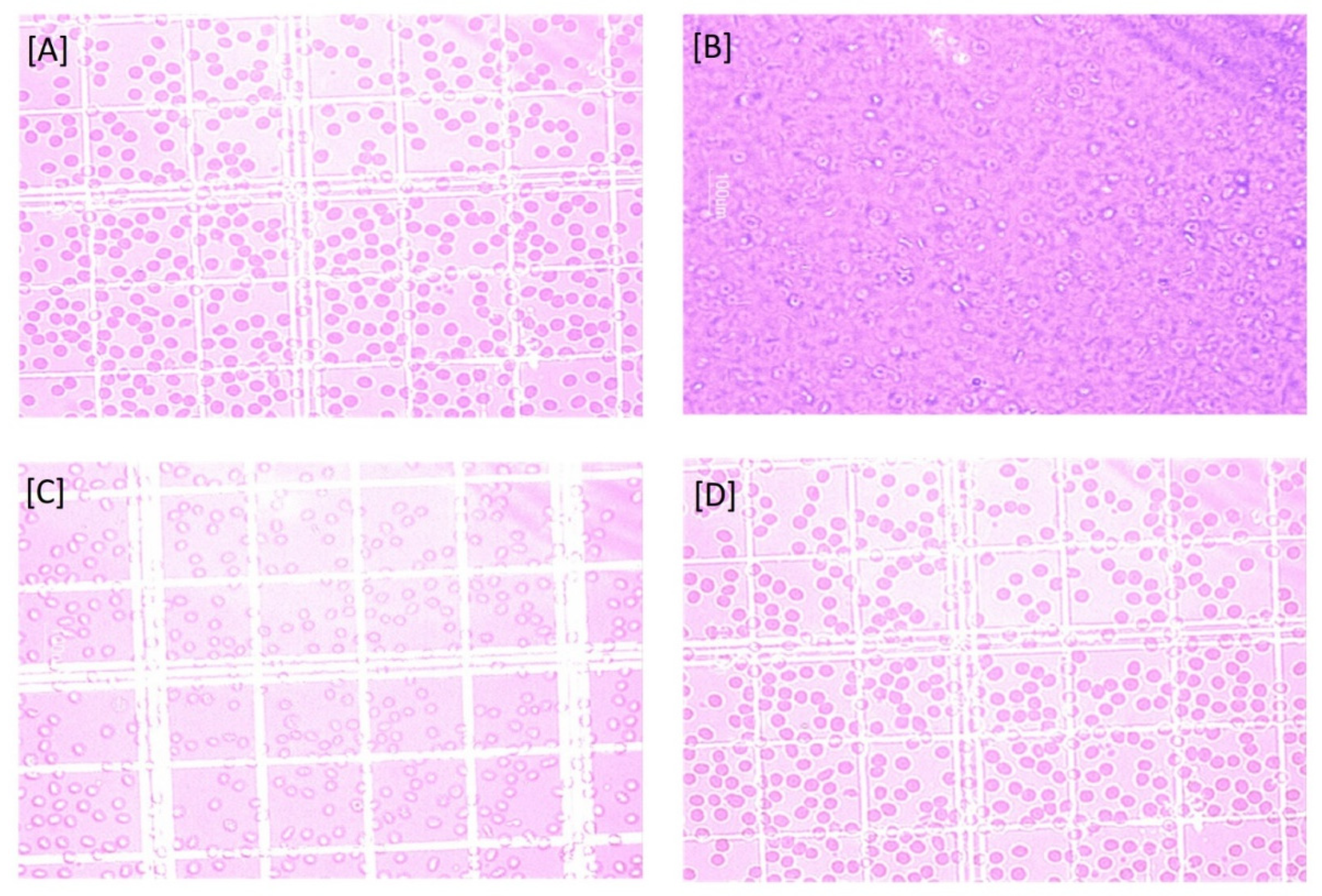 Gels 08 00081 g006 550
