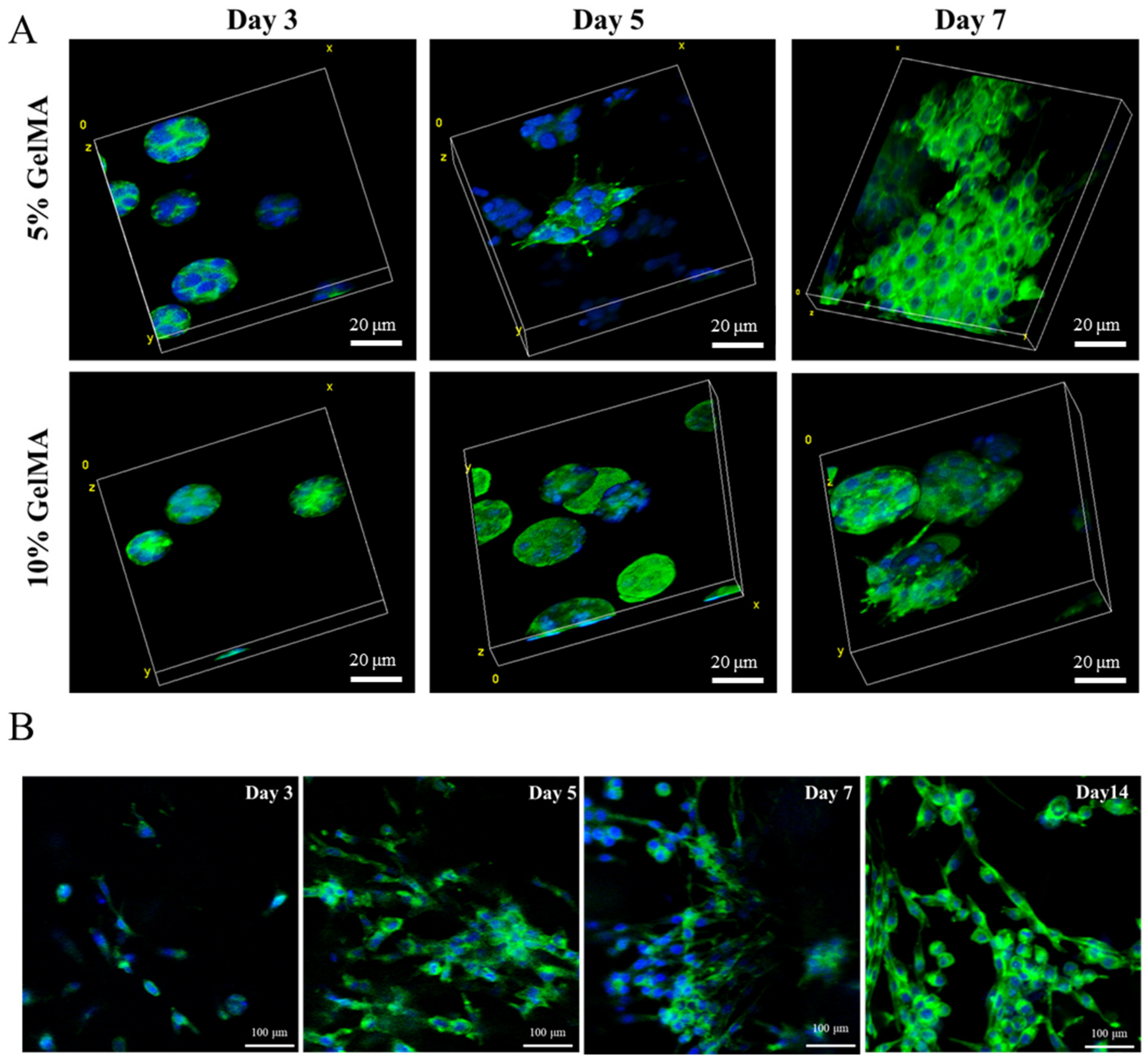 Gels 08 00084 g003 550