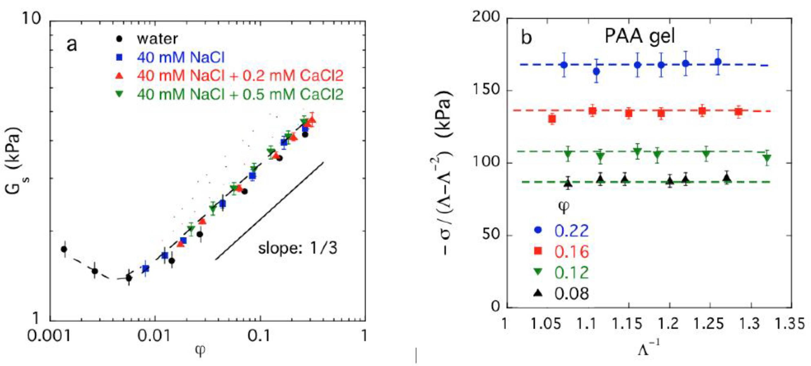 Gels 08 00096 g001 Gels 08 00096 g001