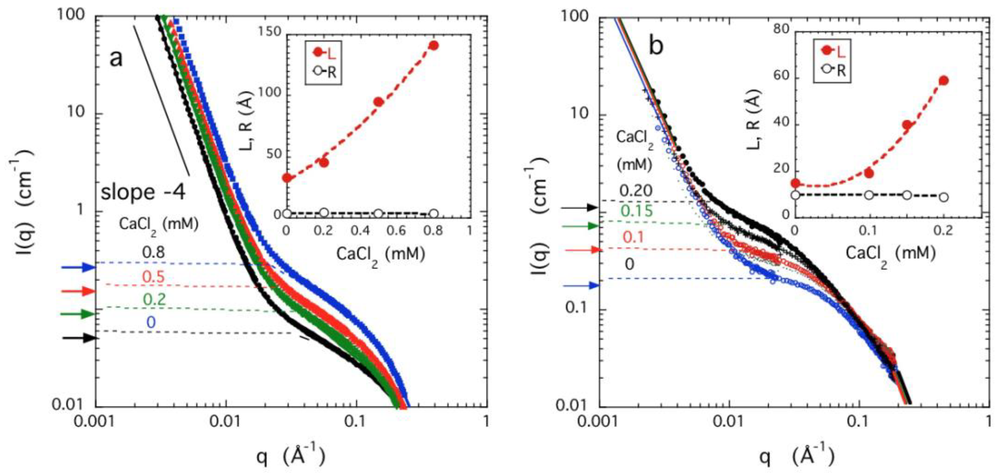 Gels 08 00096 g005 Gels 08 00096 g005