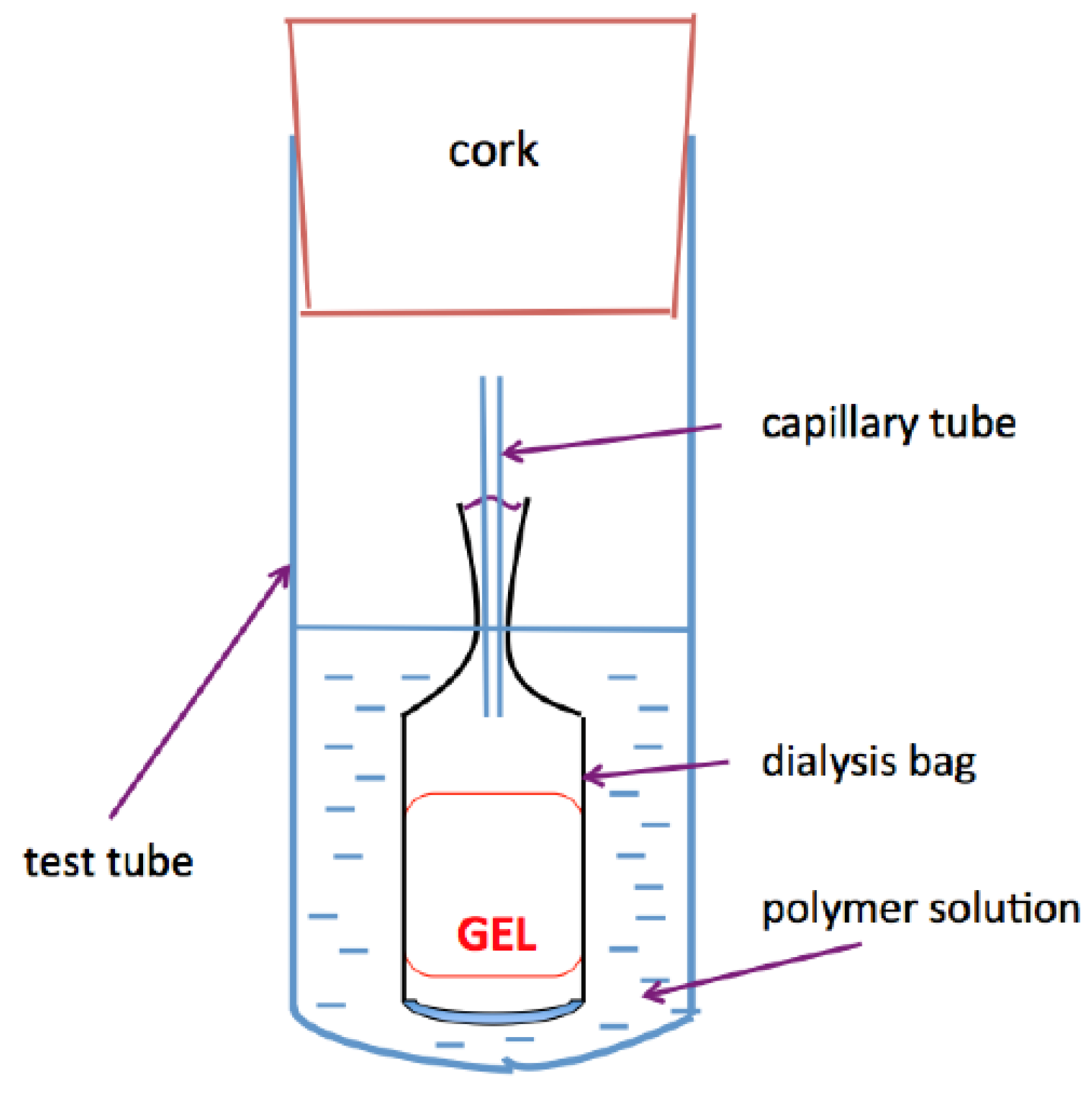 Gels 08 00096 sch002 Gels 08 00096 sch002