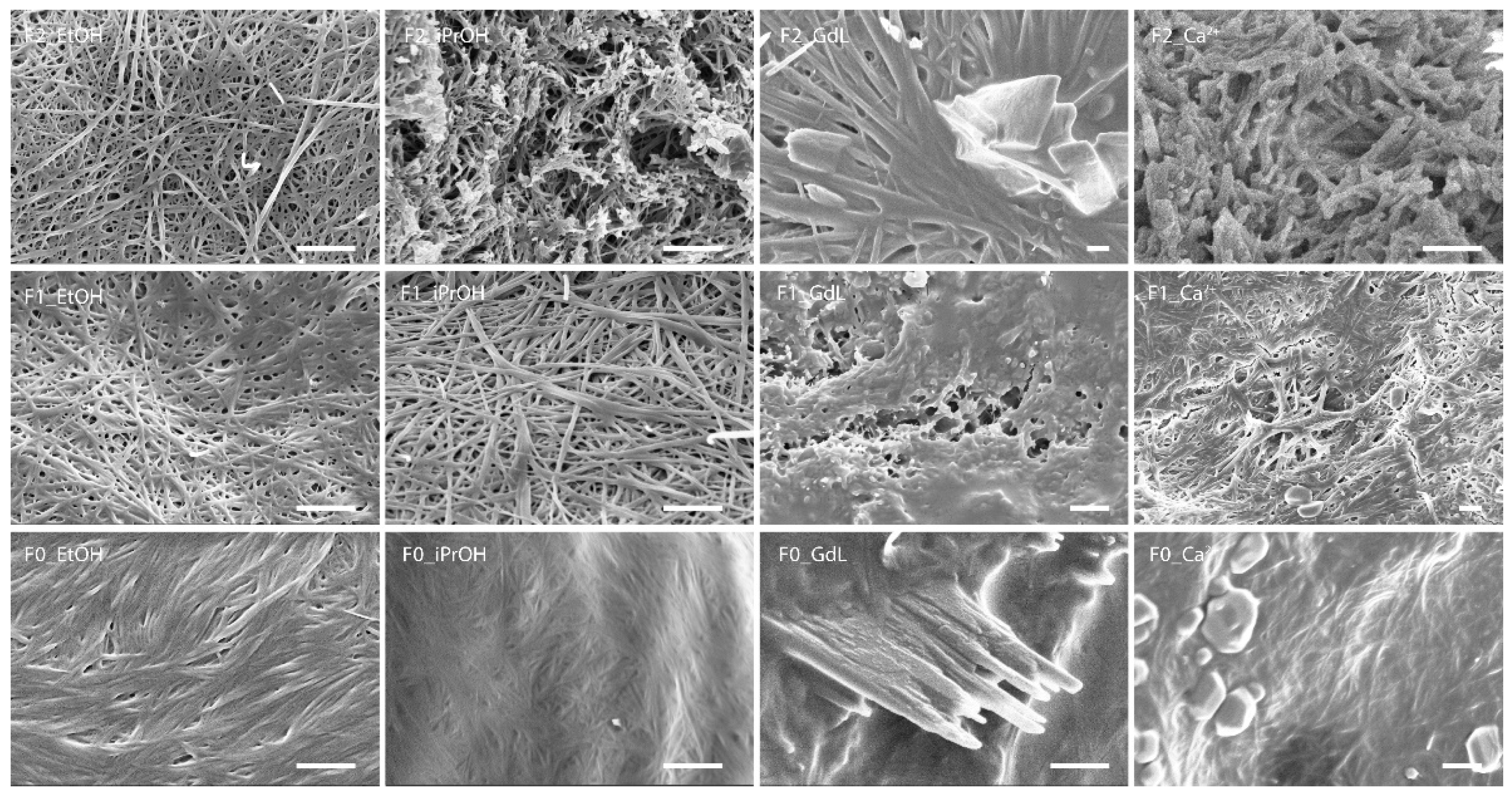 Gels 08 00098 g004 550