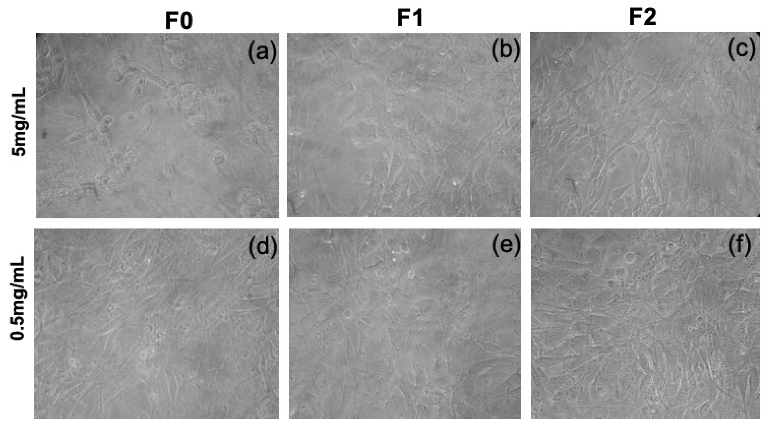 Gels 08 00098 g007 550