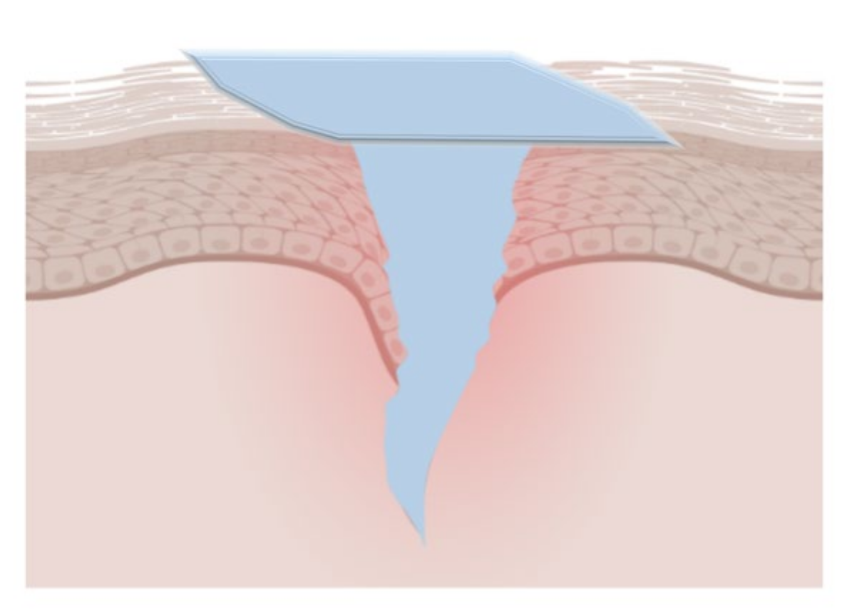 Gels 08 00109 g005 550