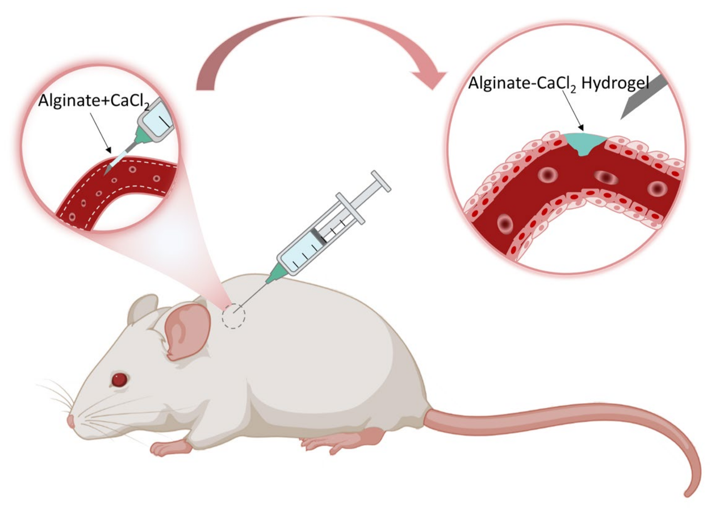 Gels 08 00109 g006 550