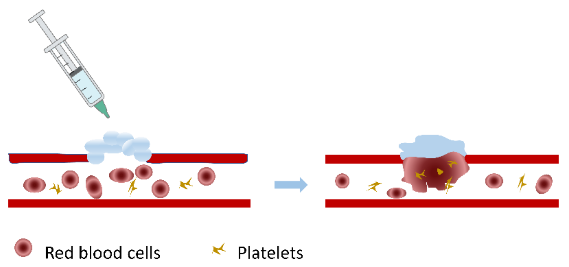 Gels 08 00109 g009 550