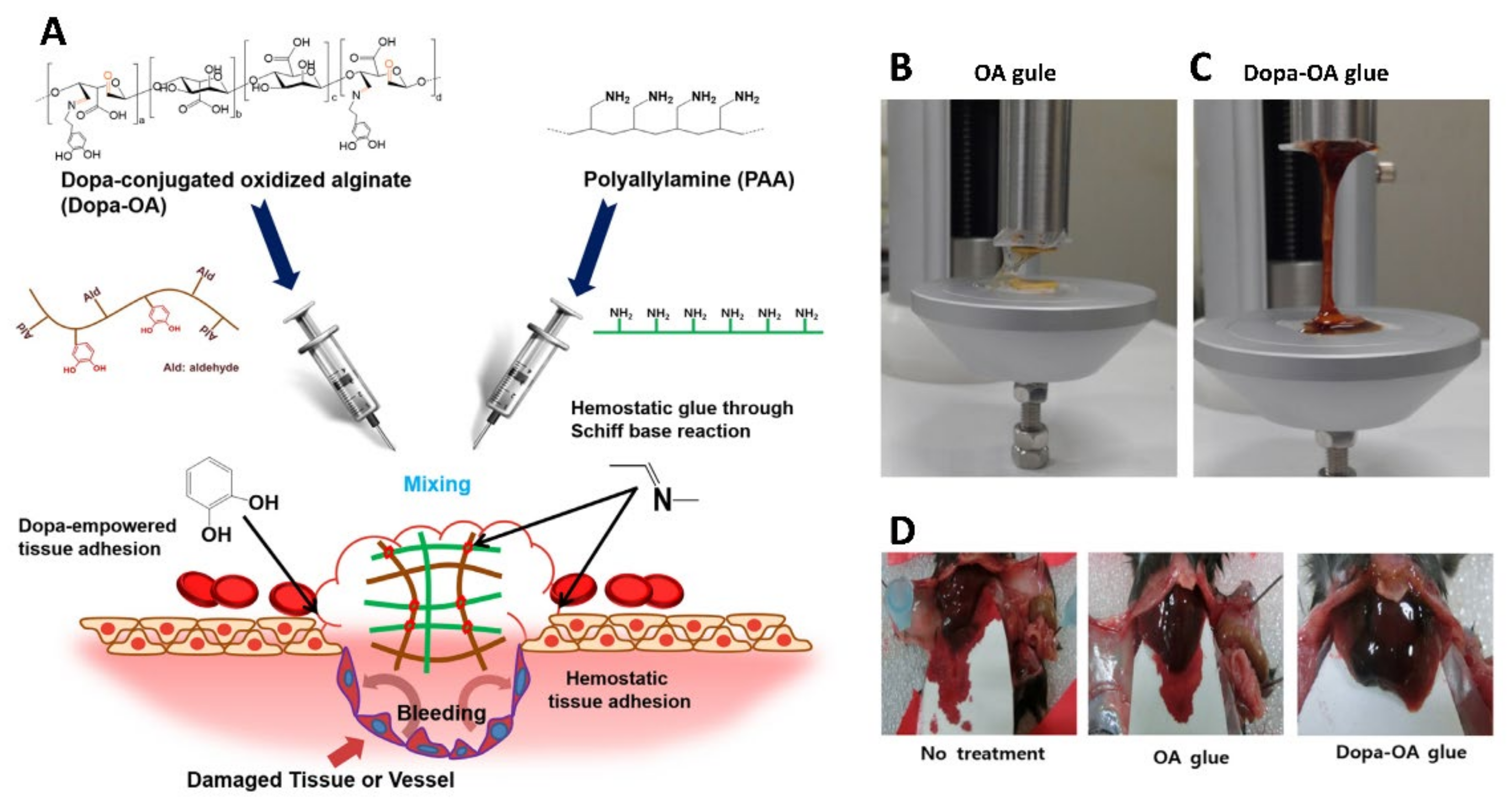 Gels 08 00109 g010 550