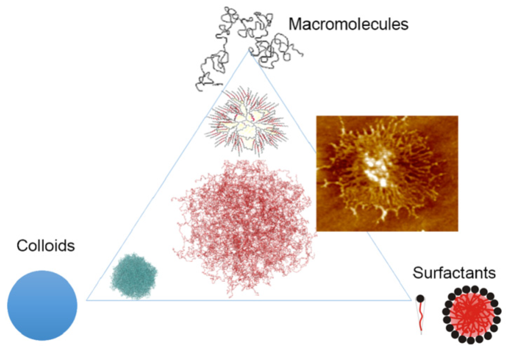 Gels 08 00112 g004 550