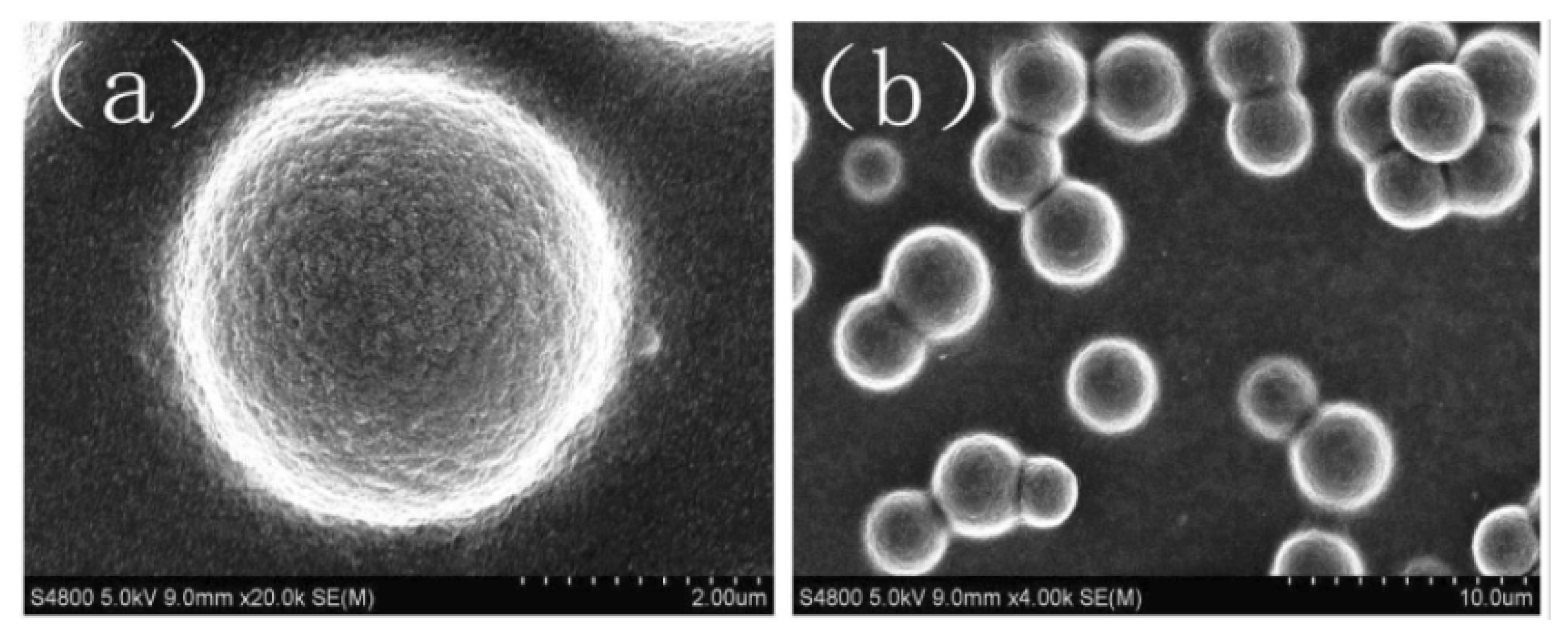 Gels 08 00112 g005 550