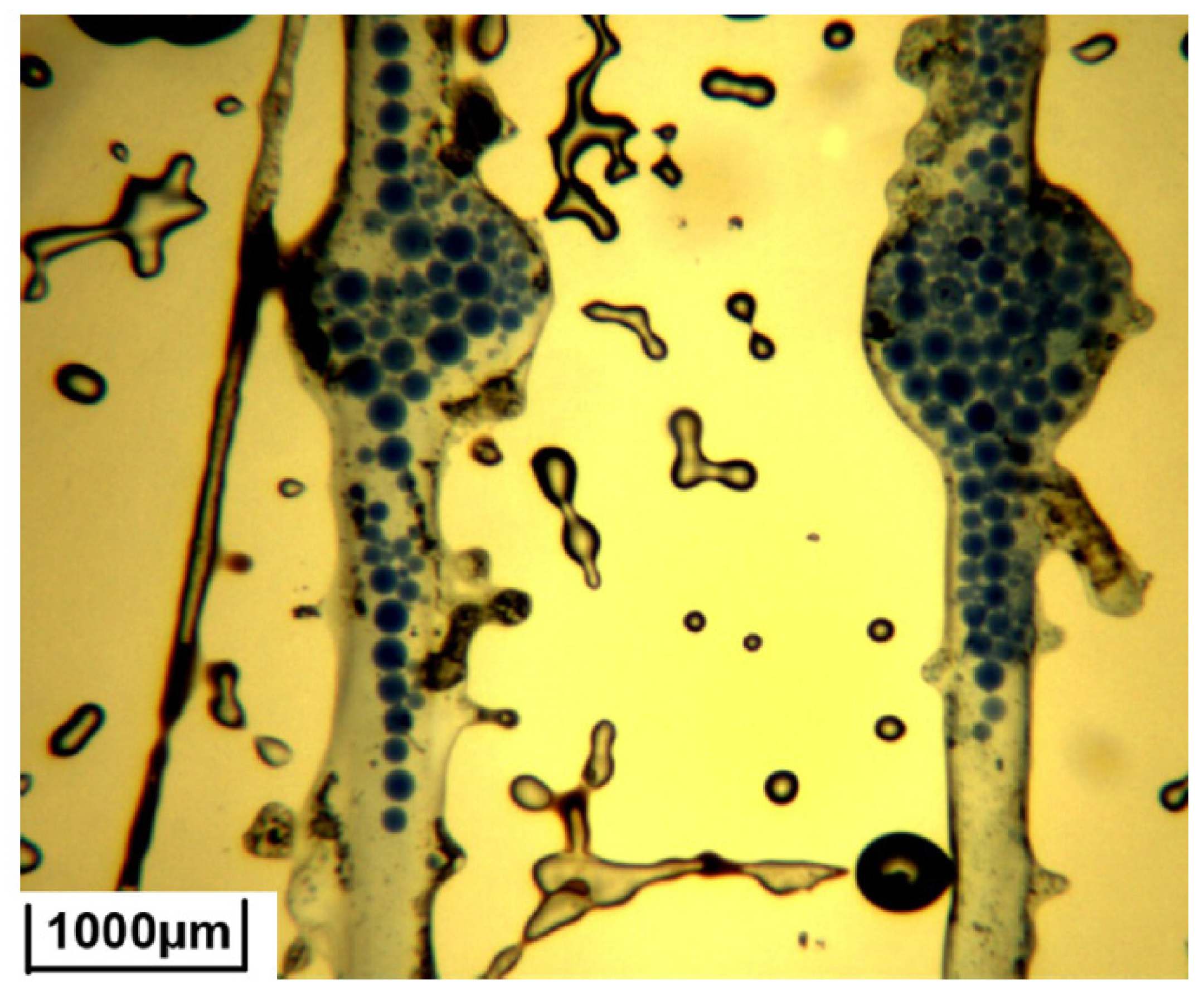 Gels 08 00112 g006 550