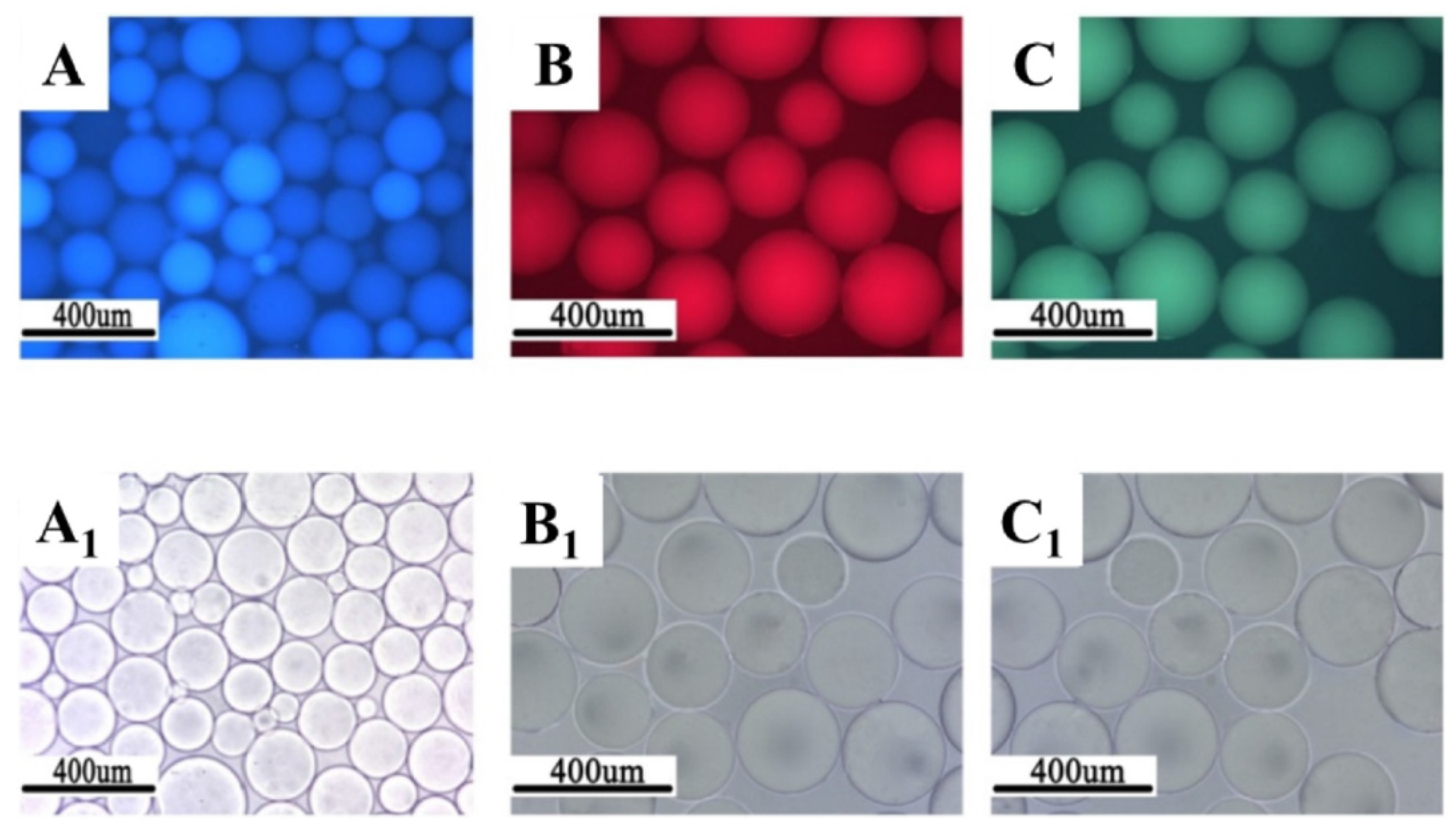 Gels 08 00112 g007 550