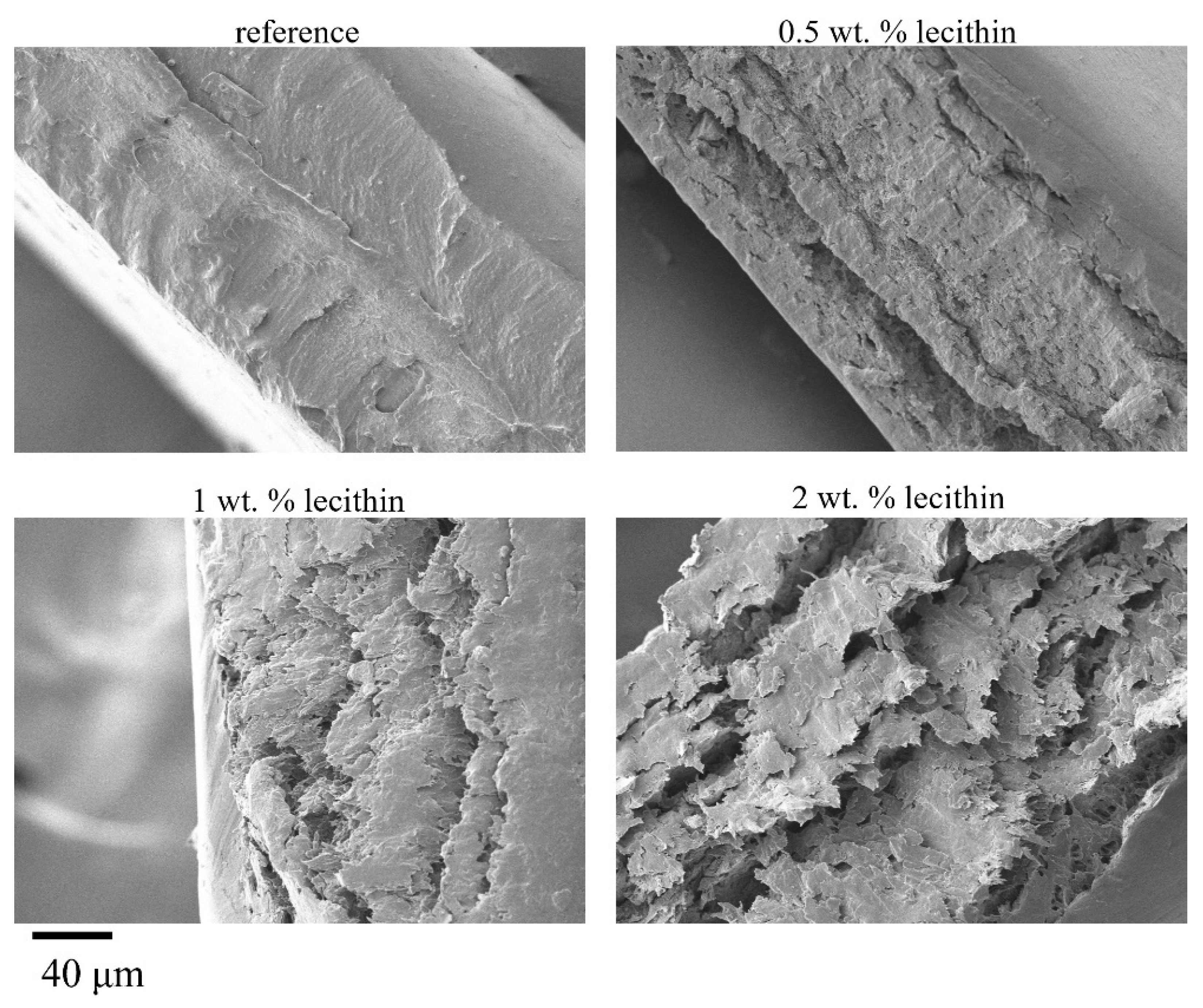 Gels 08 00115 g009 550