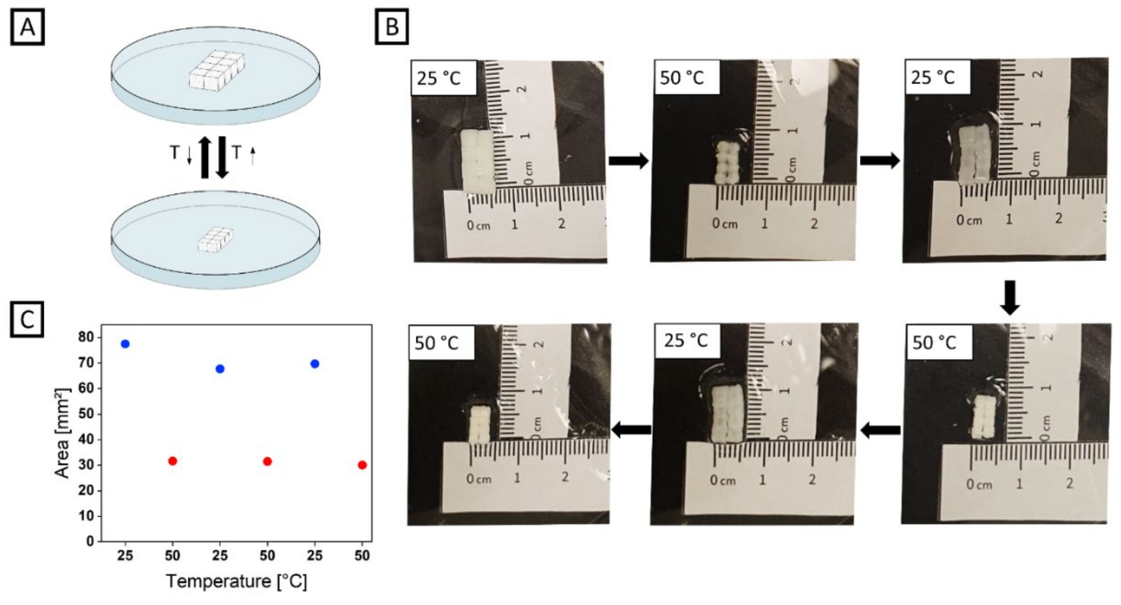 Gels 08 00117 g003 550