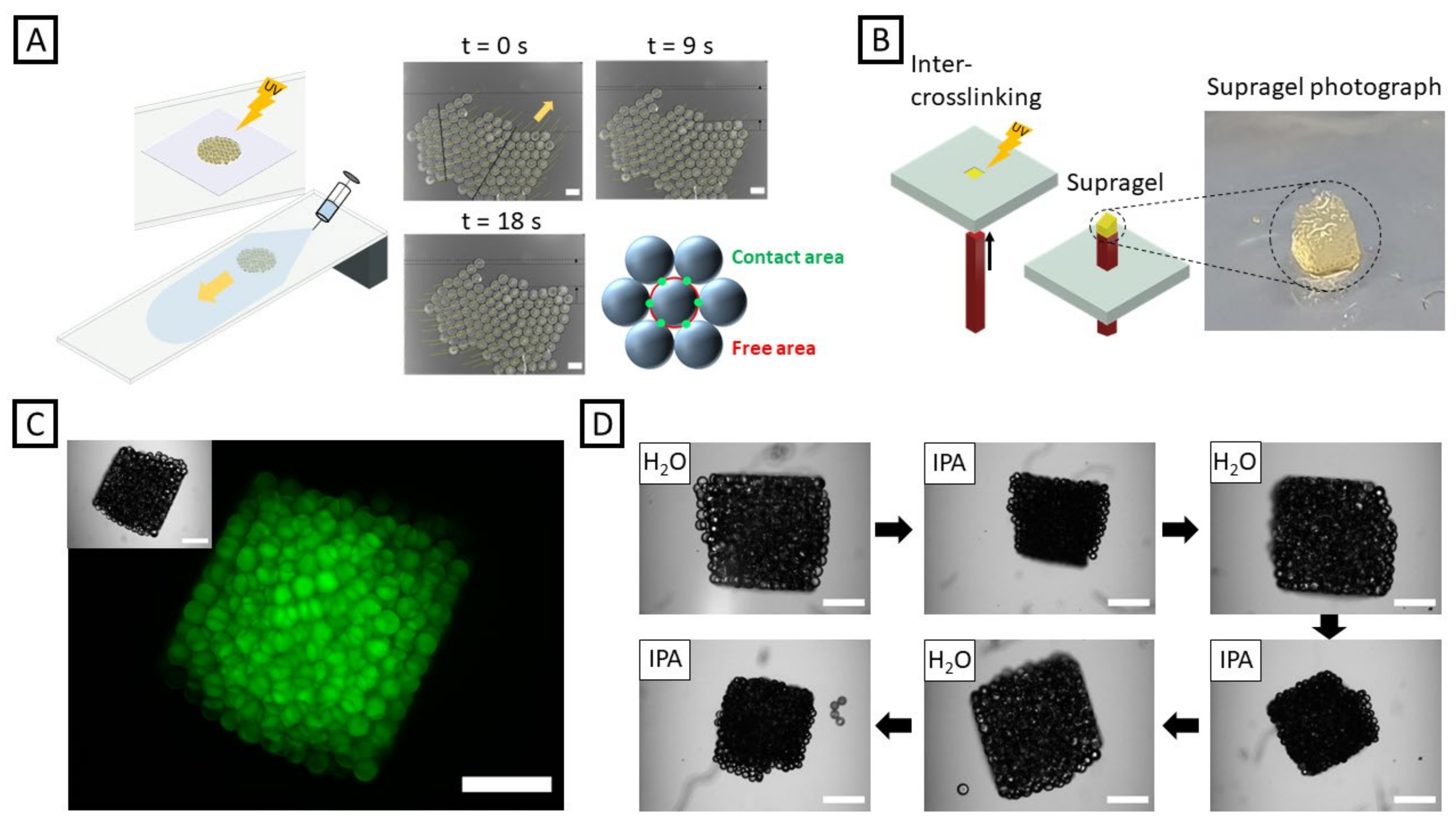 Gels 08 00117 g004 550