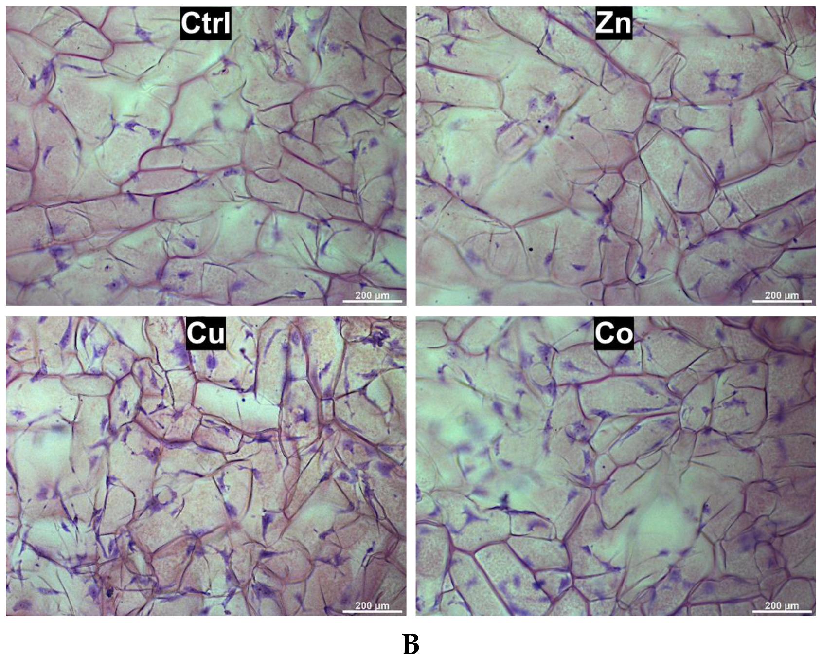 Gels 08 00118 g005b Gels 08 00118 g005b