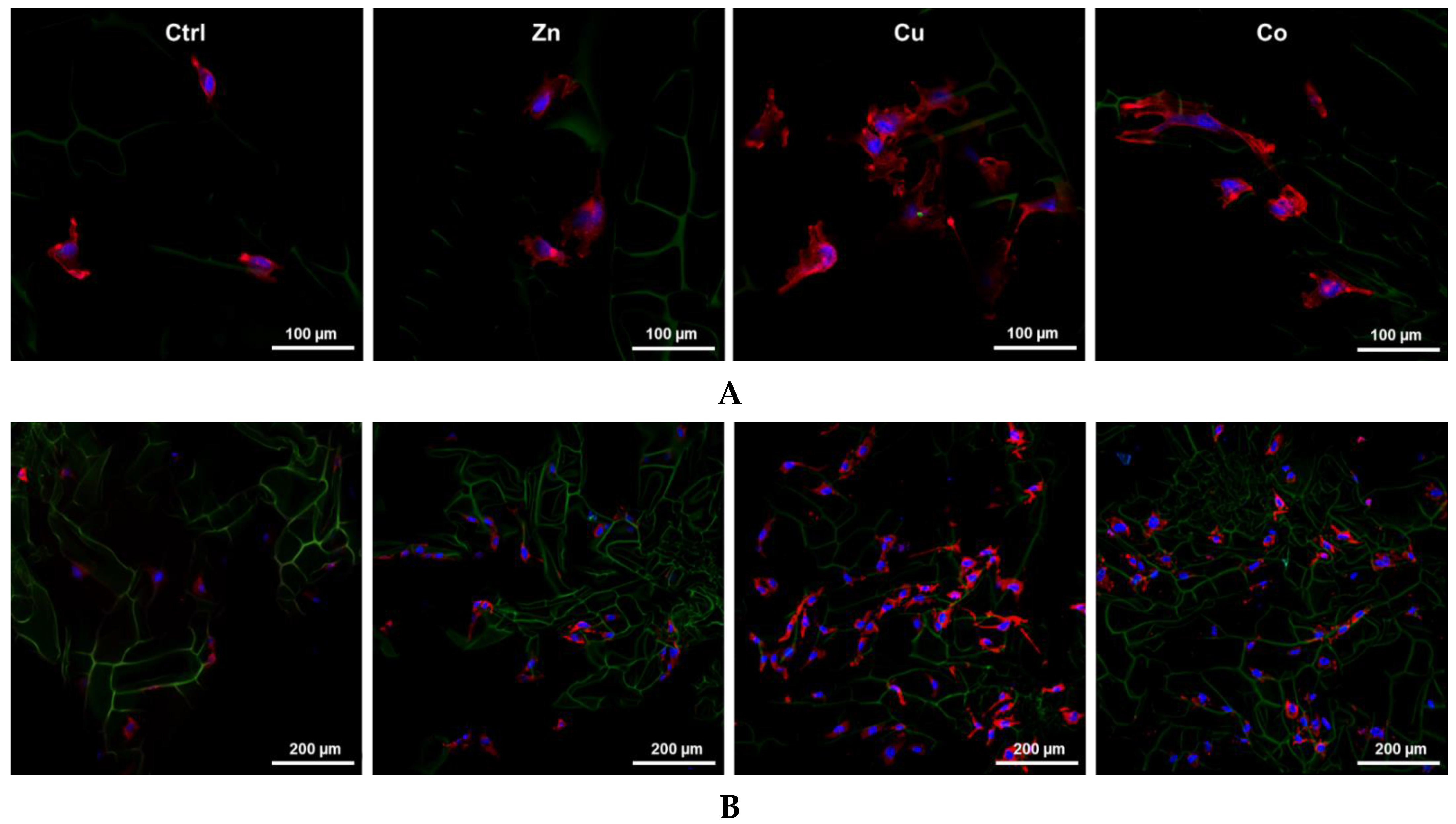 Gels 08 00118 g006a Gels 08 00118 g006a