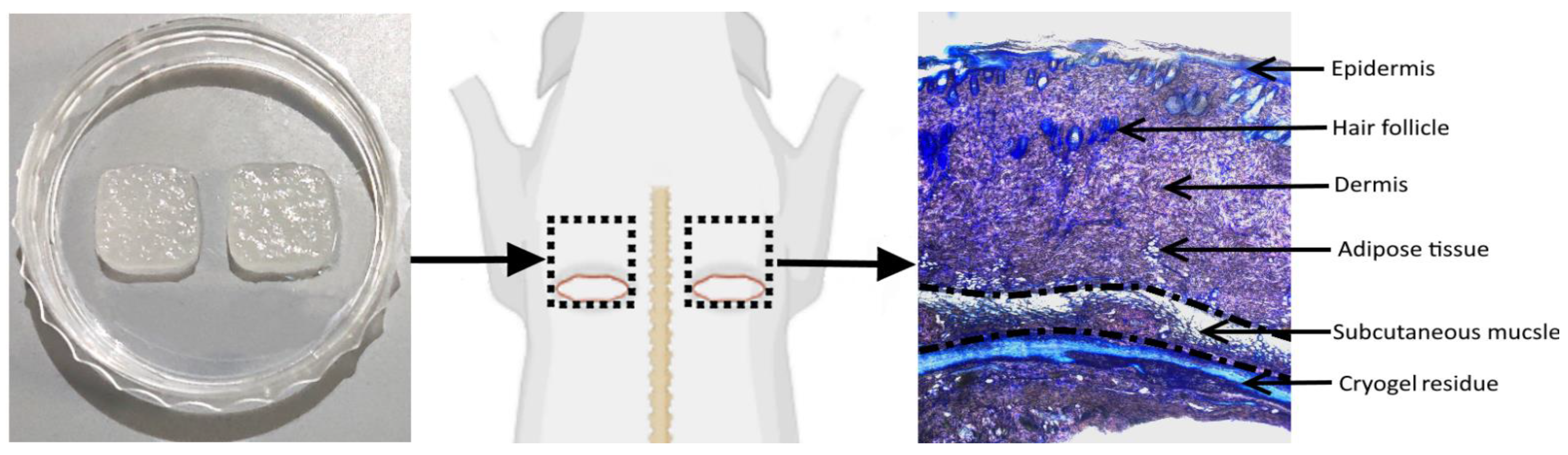 Gels 08 00118 g007 Gels 08 00118 g007