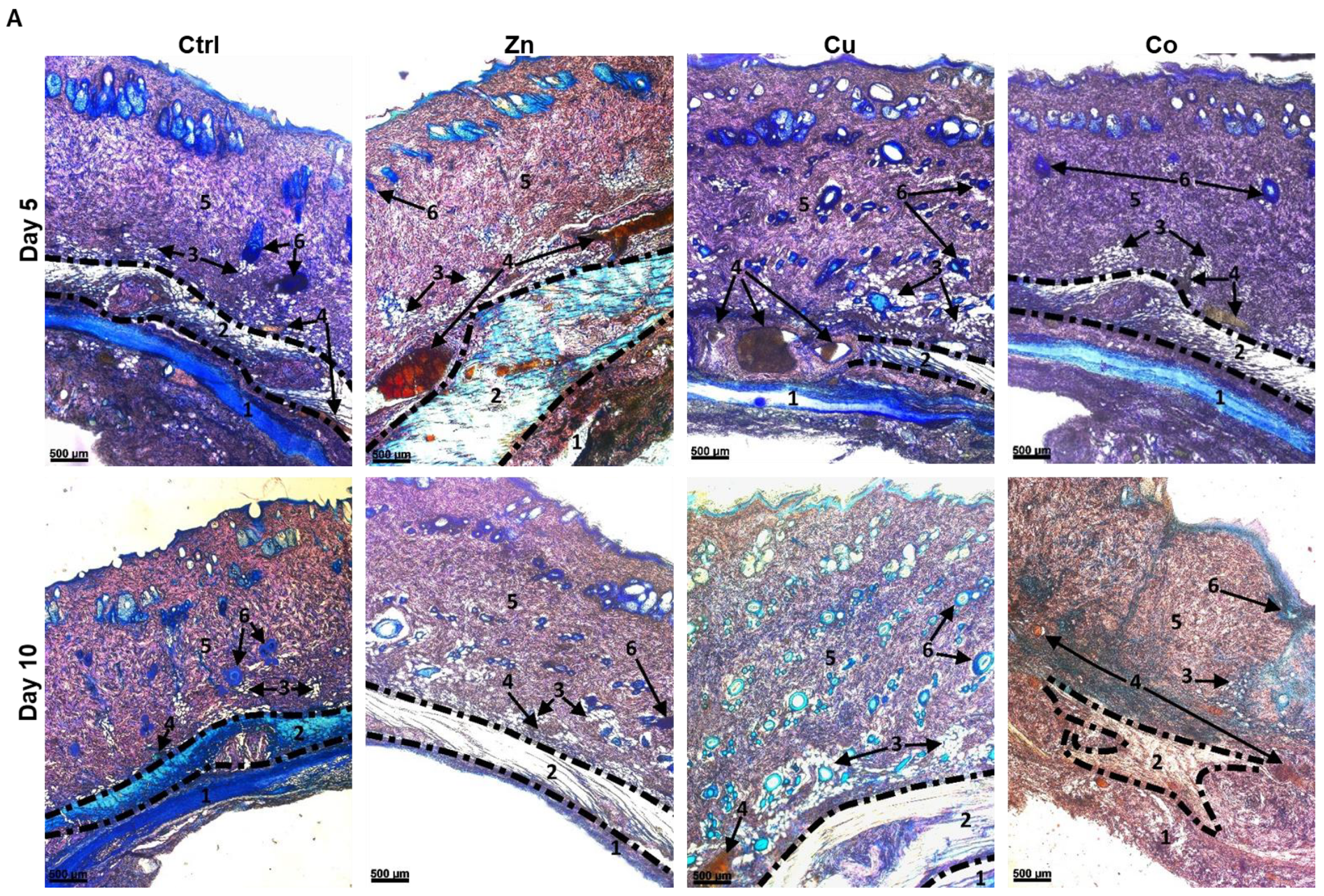 Gels 08 00118 g008a Gels 08 00118 g008a