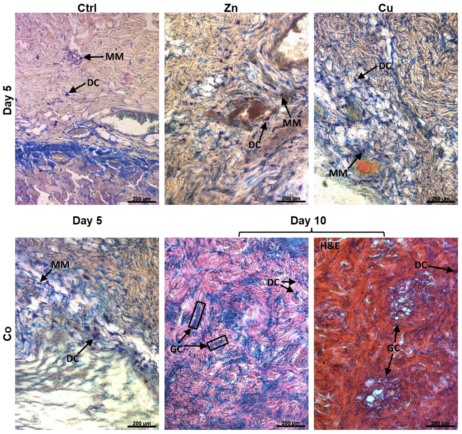 Gels 08 00118 g009 Gels 08 00118 g009