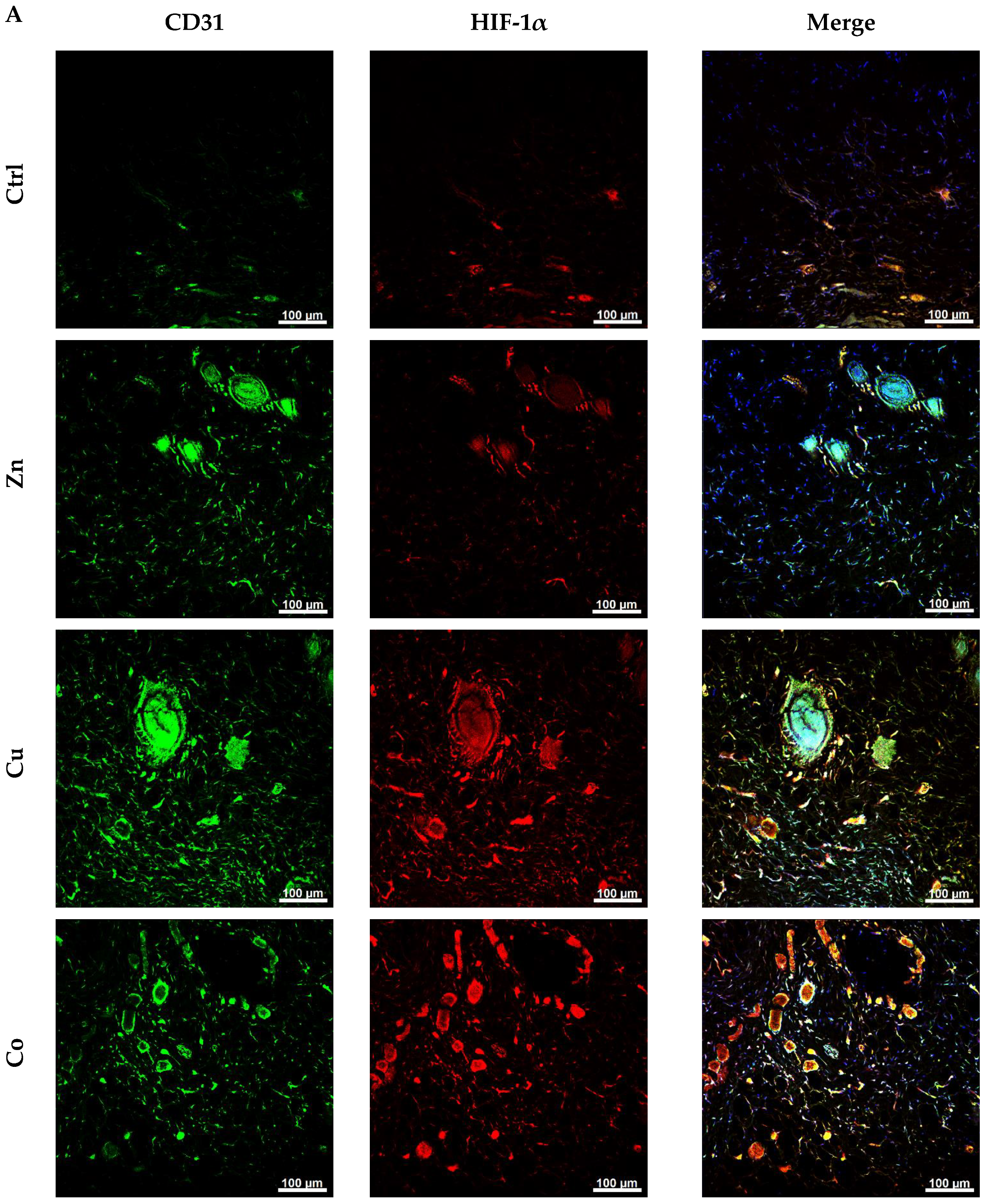 Gels 08 00118 g010a Gels 08 00118 g010a