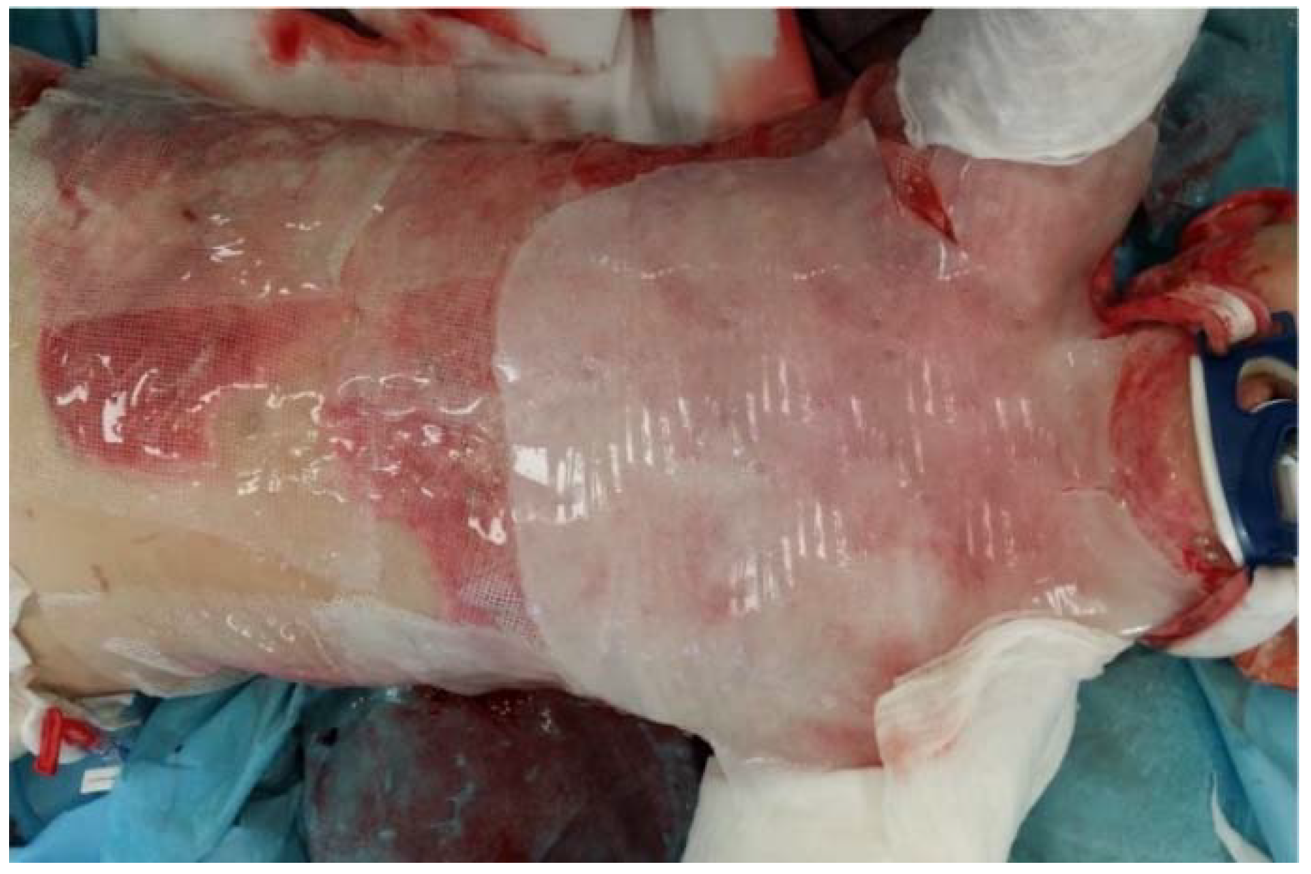 Gels 08 00122 g003 550