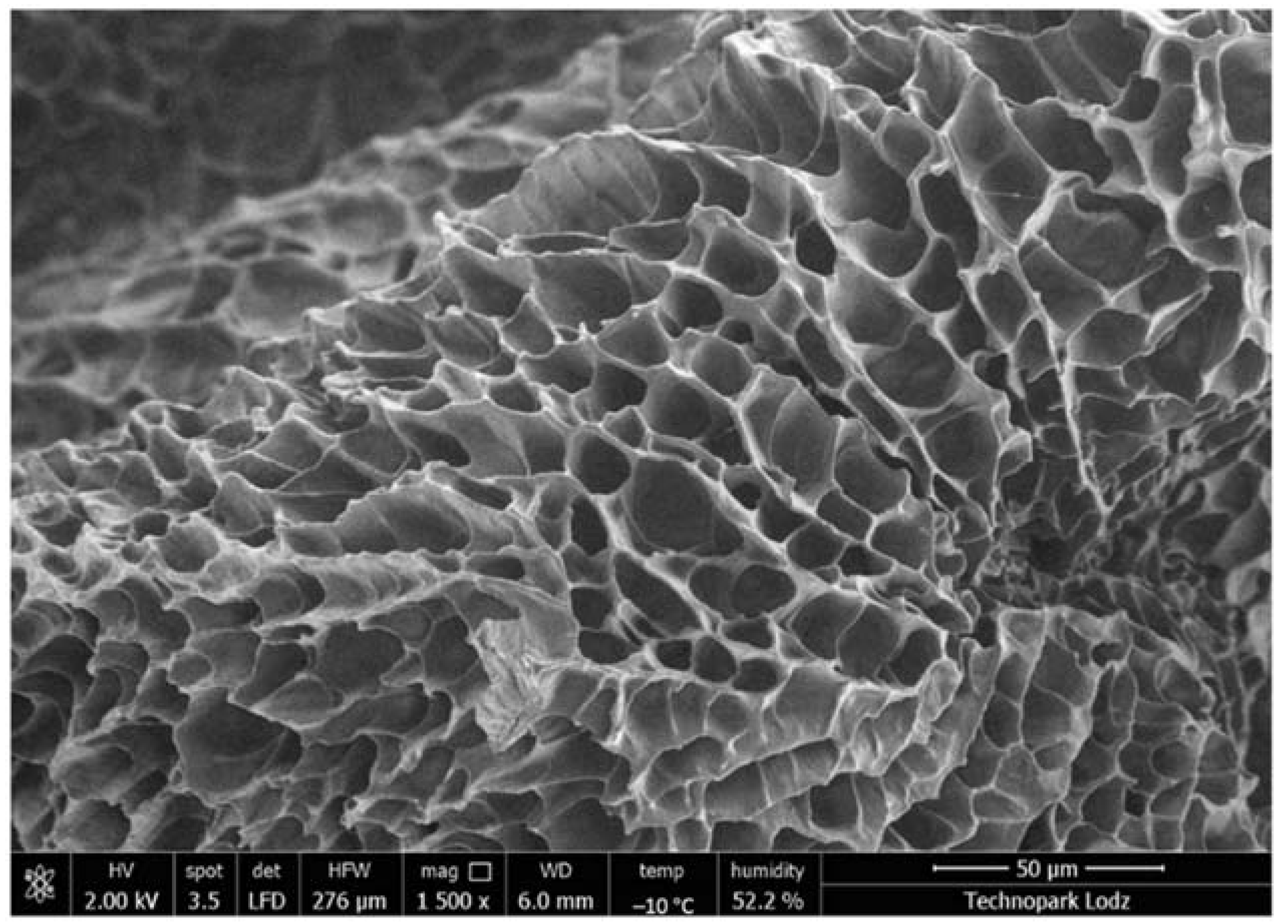 Gels 08 00122 g004 550