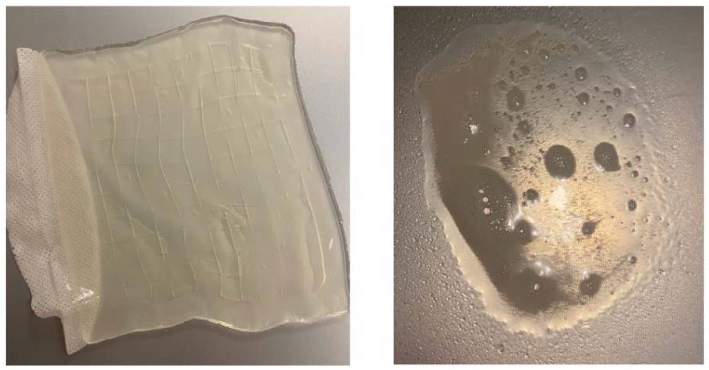 Gels 08 00122 g006 550