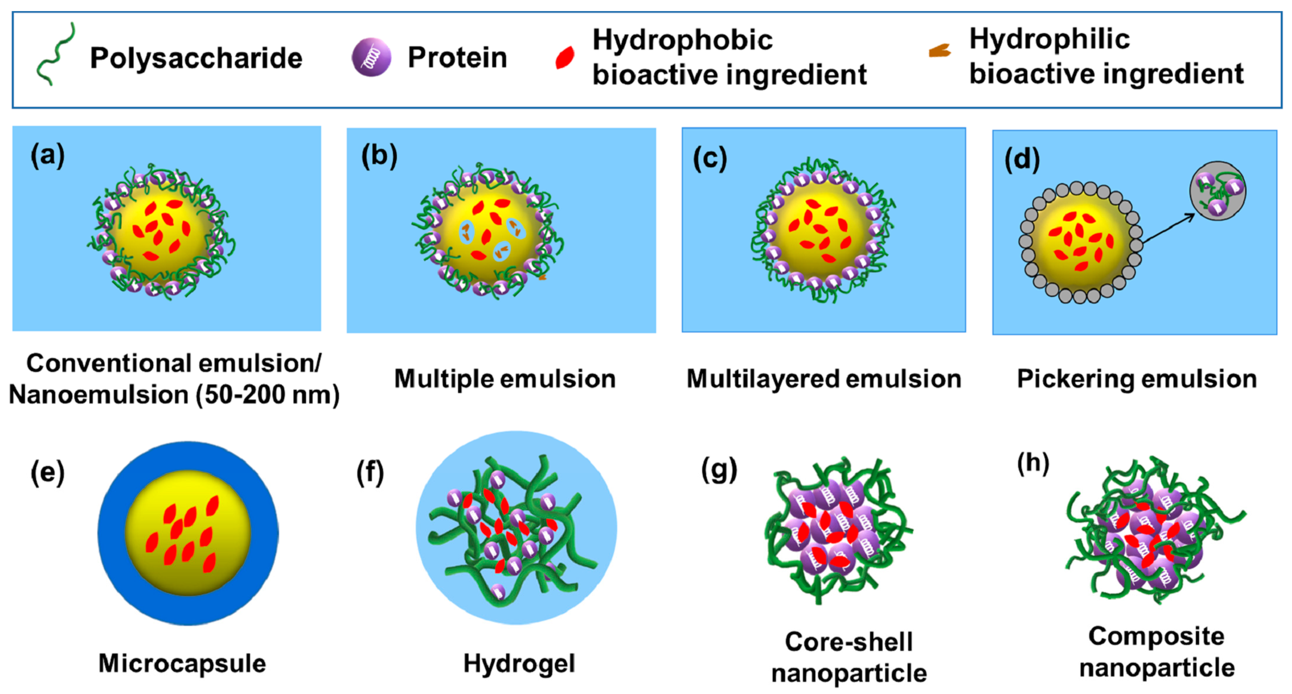 Gels 08 00135 g002 550
