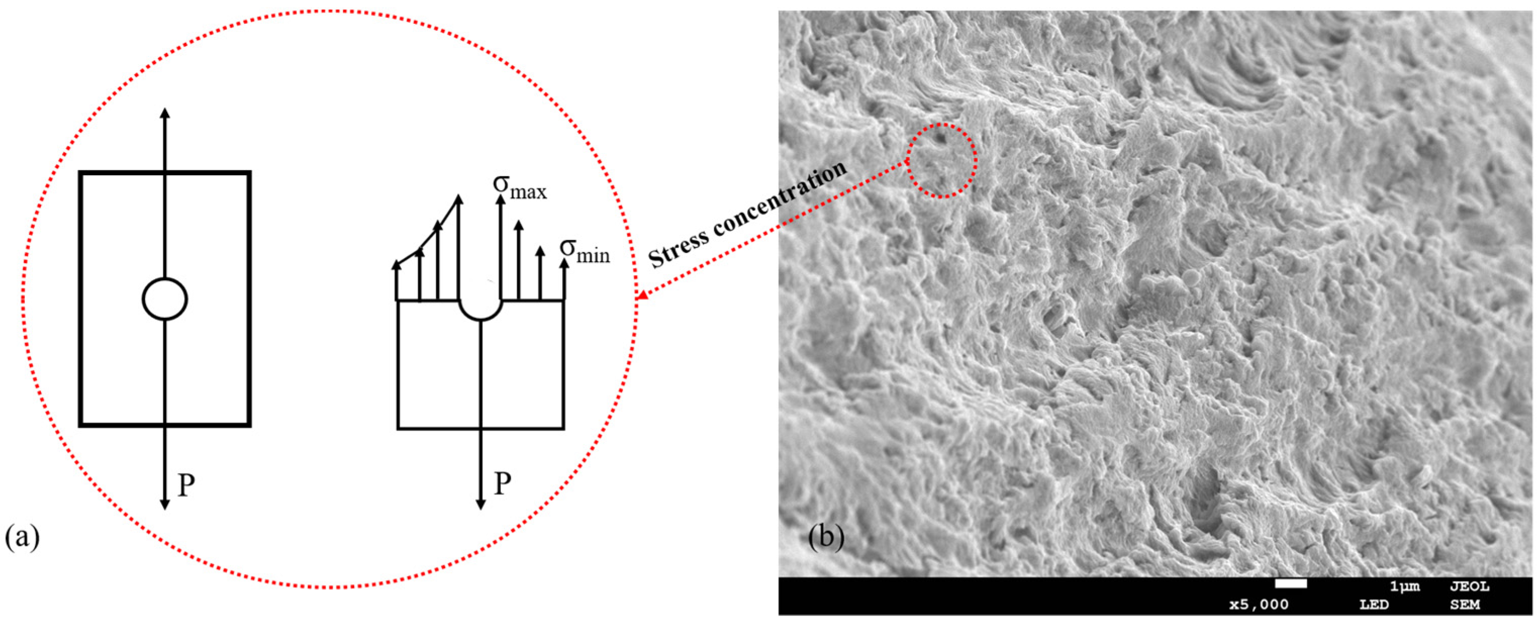 Gels 08 00139 g007 550