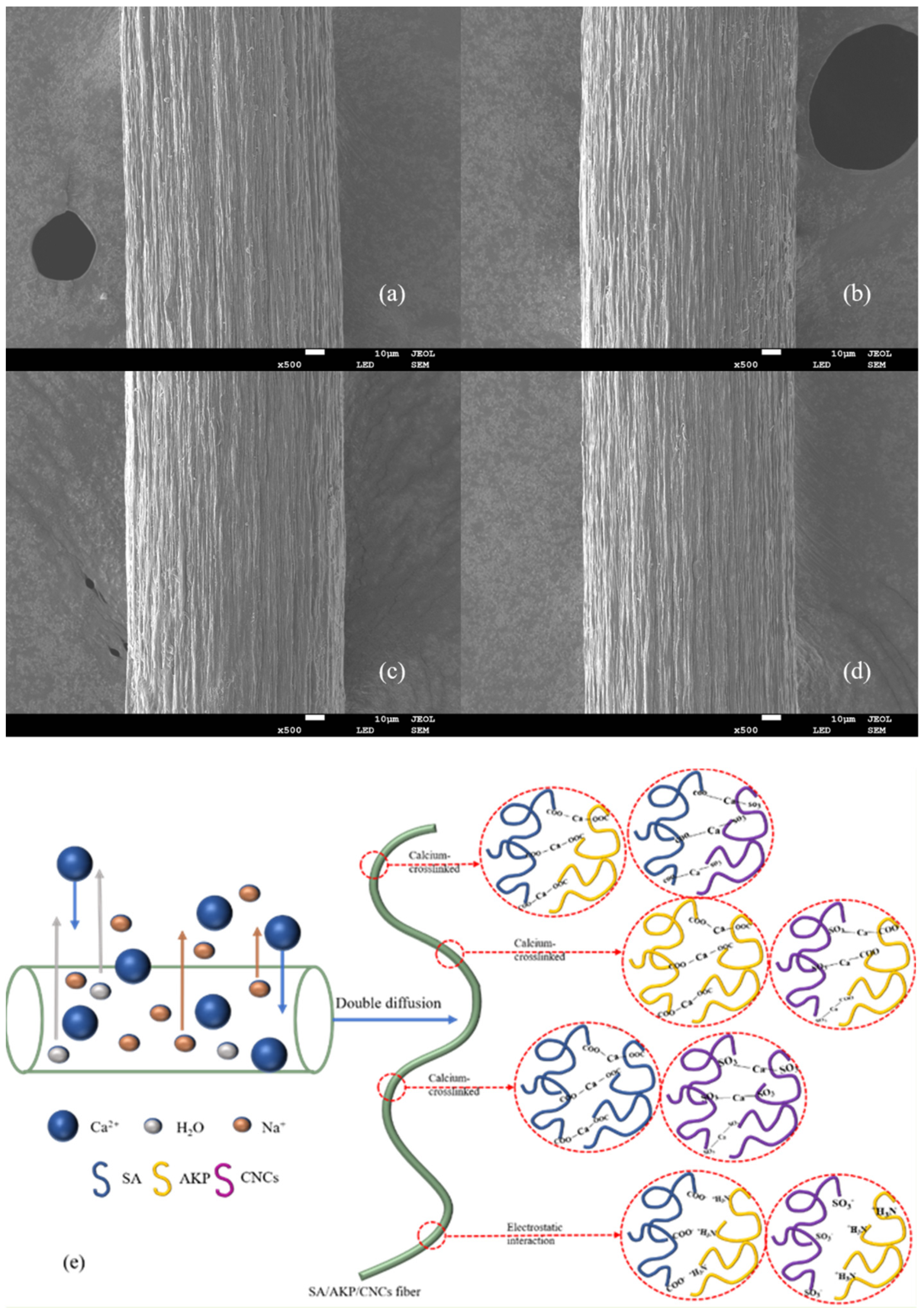 Gels 08 00139 g009 550