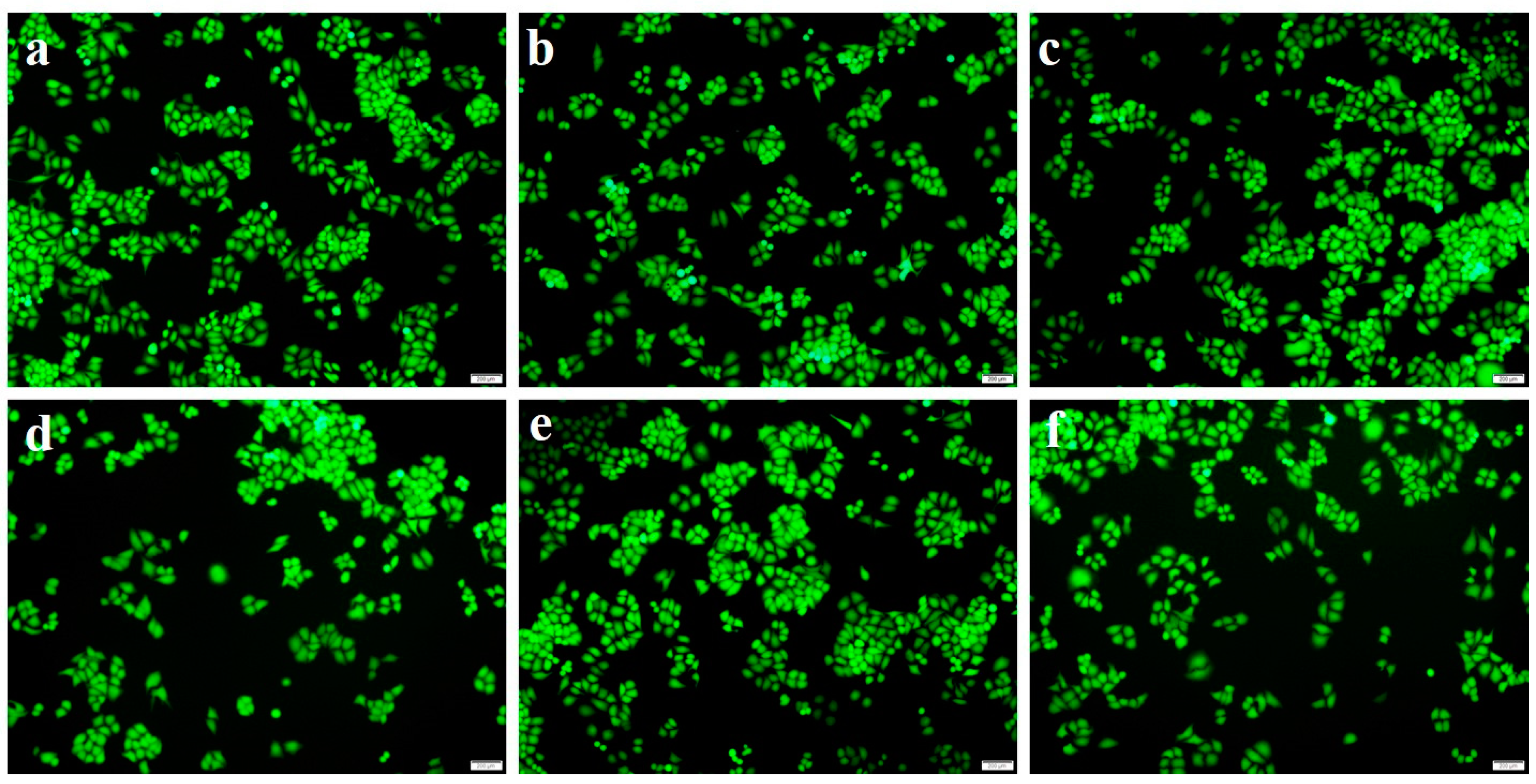 Gels 08 00146 g007 550