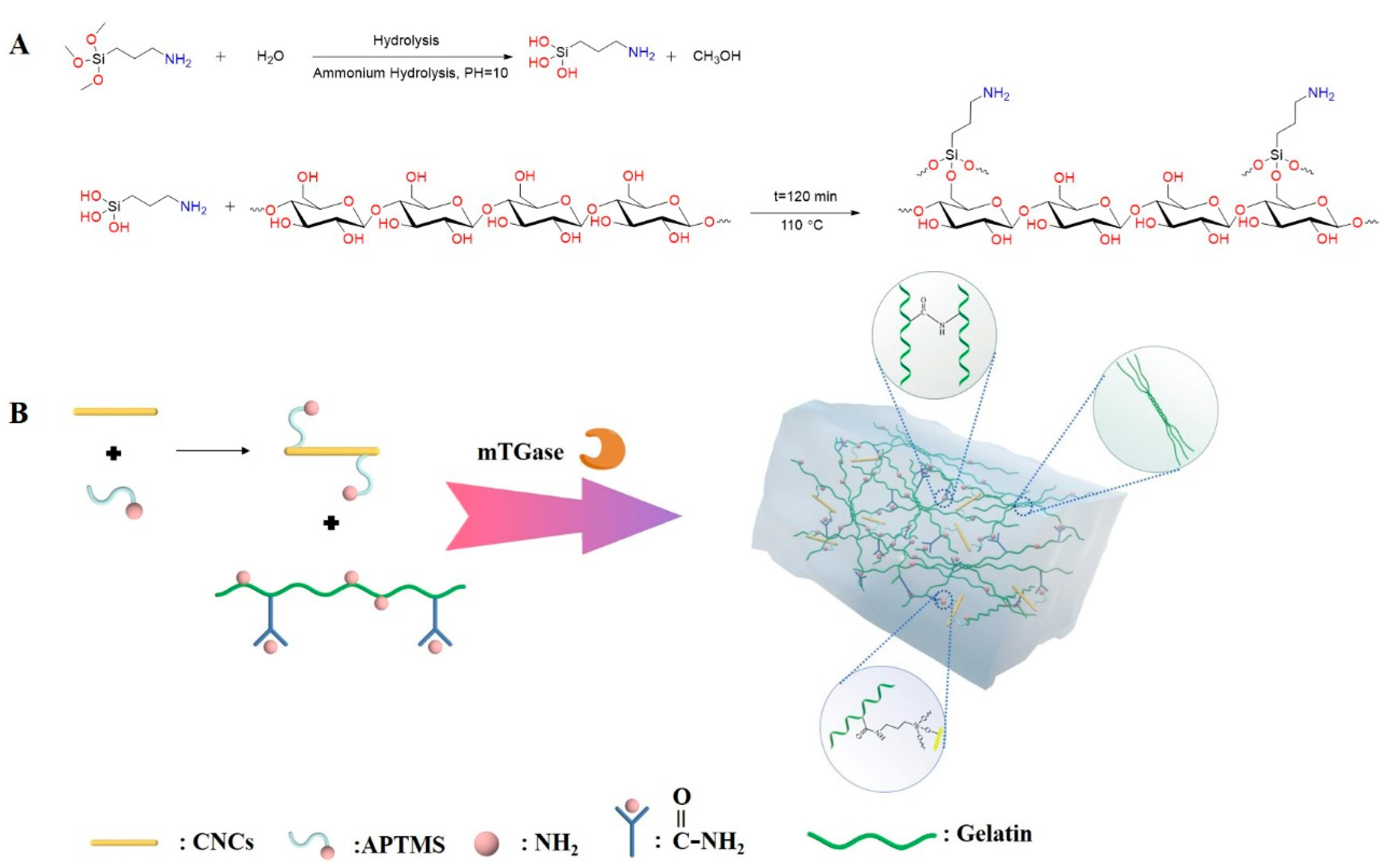 Gels 08 00146 g008 550
