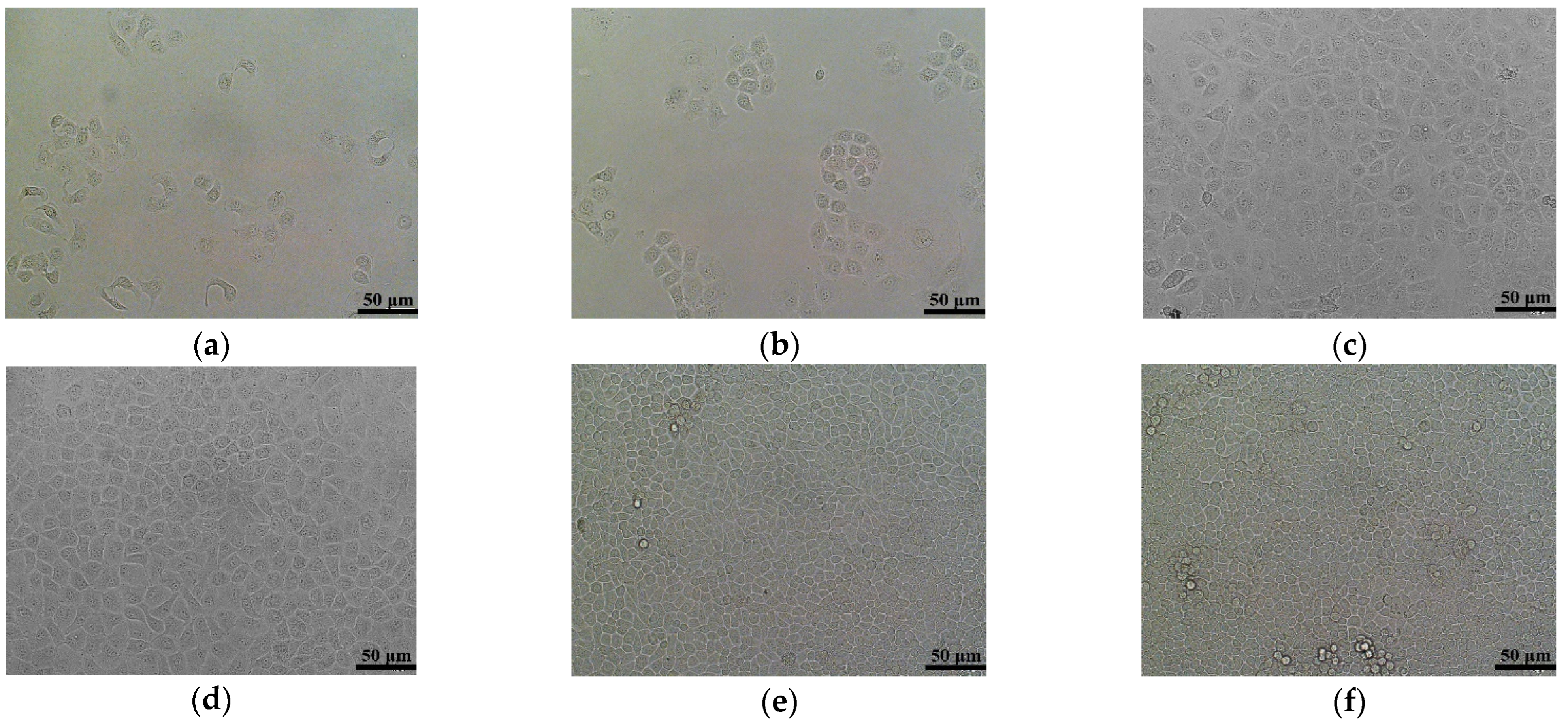 Gels 08 00147 g007 550