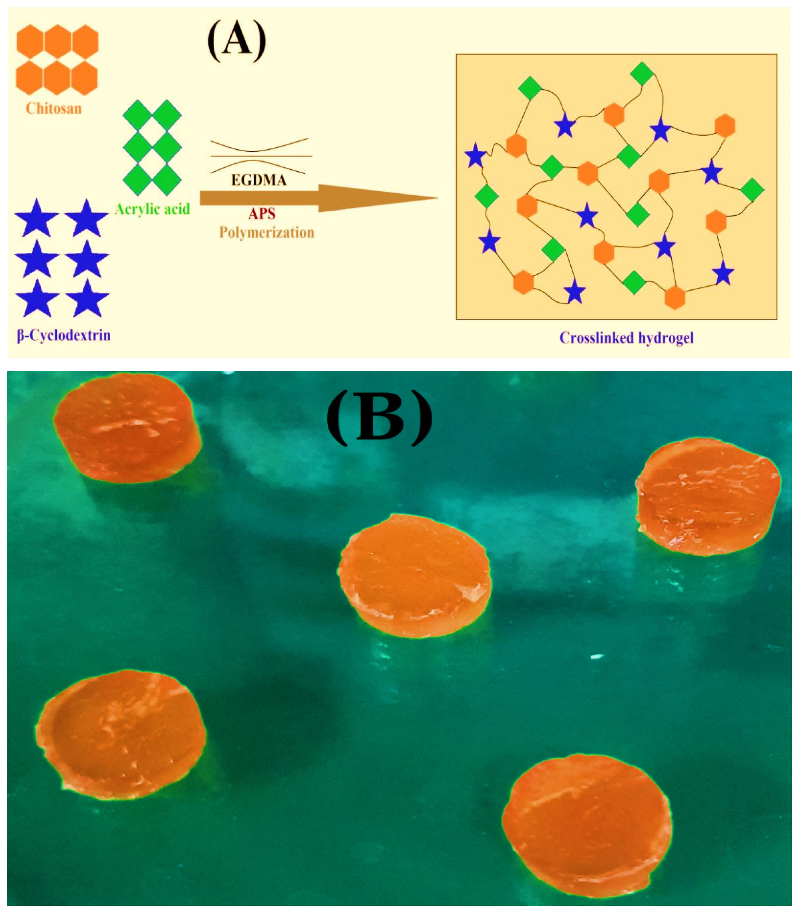 Gels 08 00155 g001 550