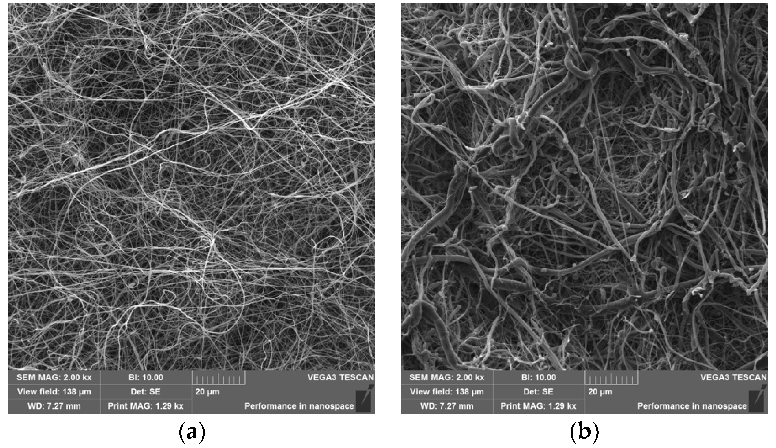 Gels 08 00158 g003a Gels 08 00158 g003a